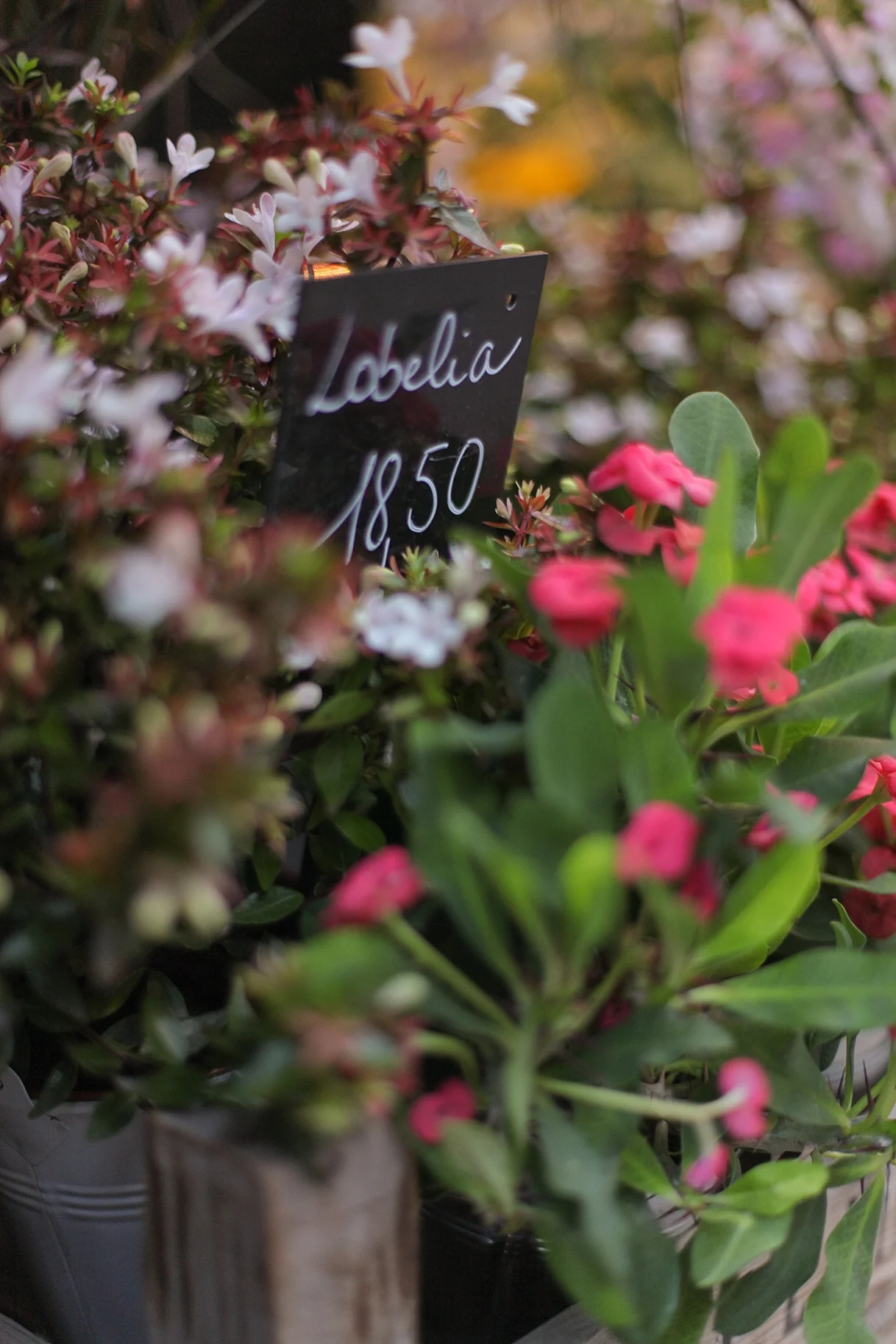naples-commercial-photographer-owen-collective-paris_0094.jpg