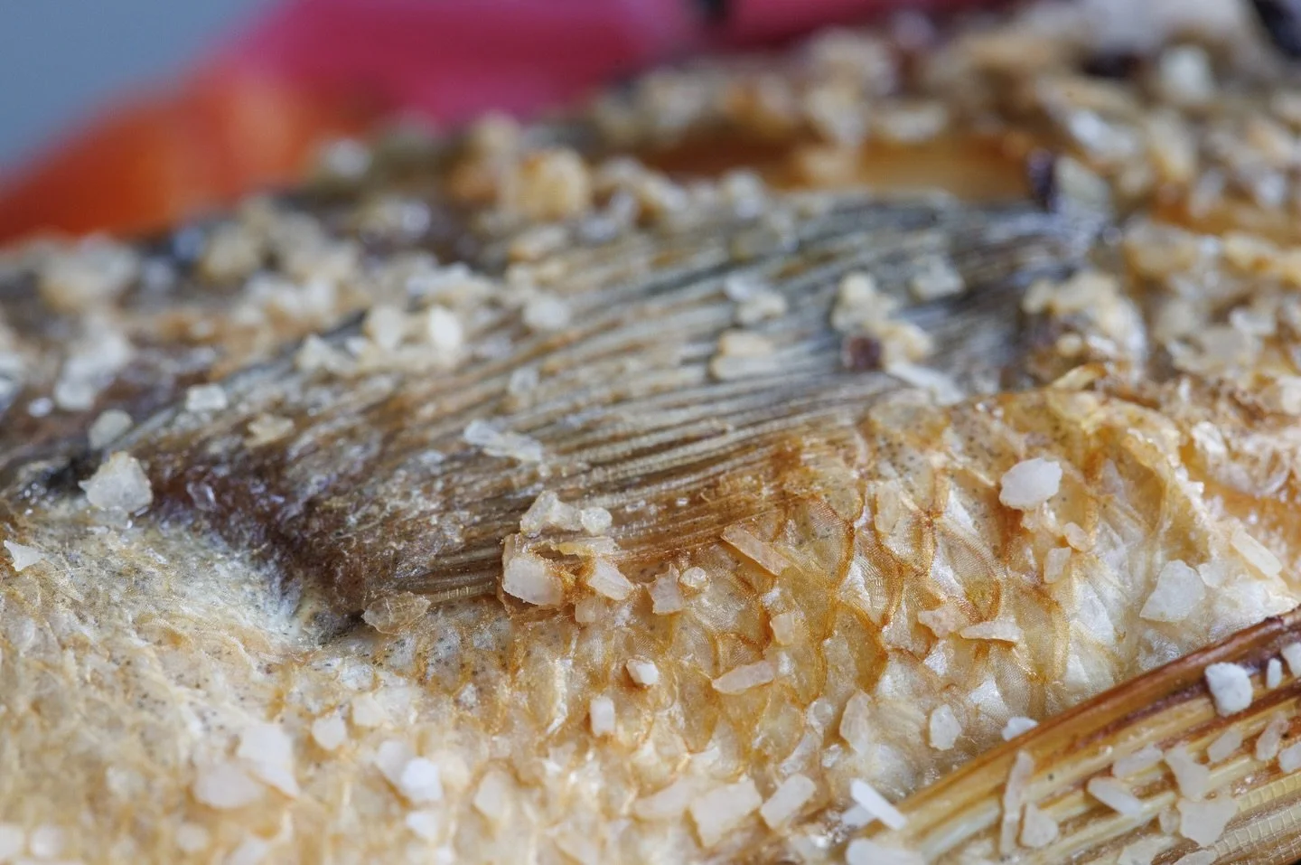 The roasted Branzino Ladolemono at @flour_and_stone is a sight to behold. The freshest everything, so bright and beautiful. And the texture! Oh, you guys should see these scales on my big desktop screen. 😍 😋