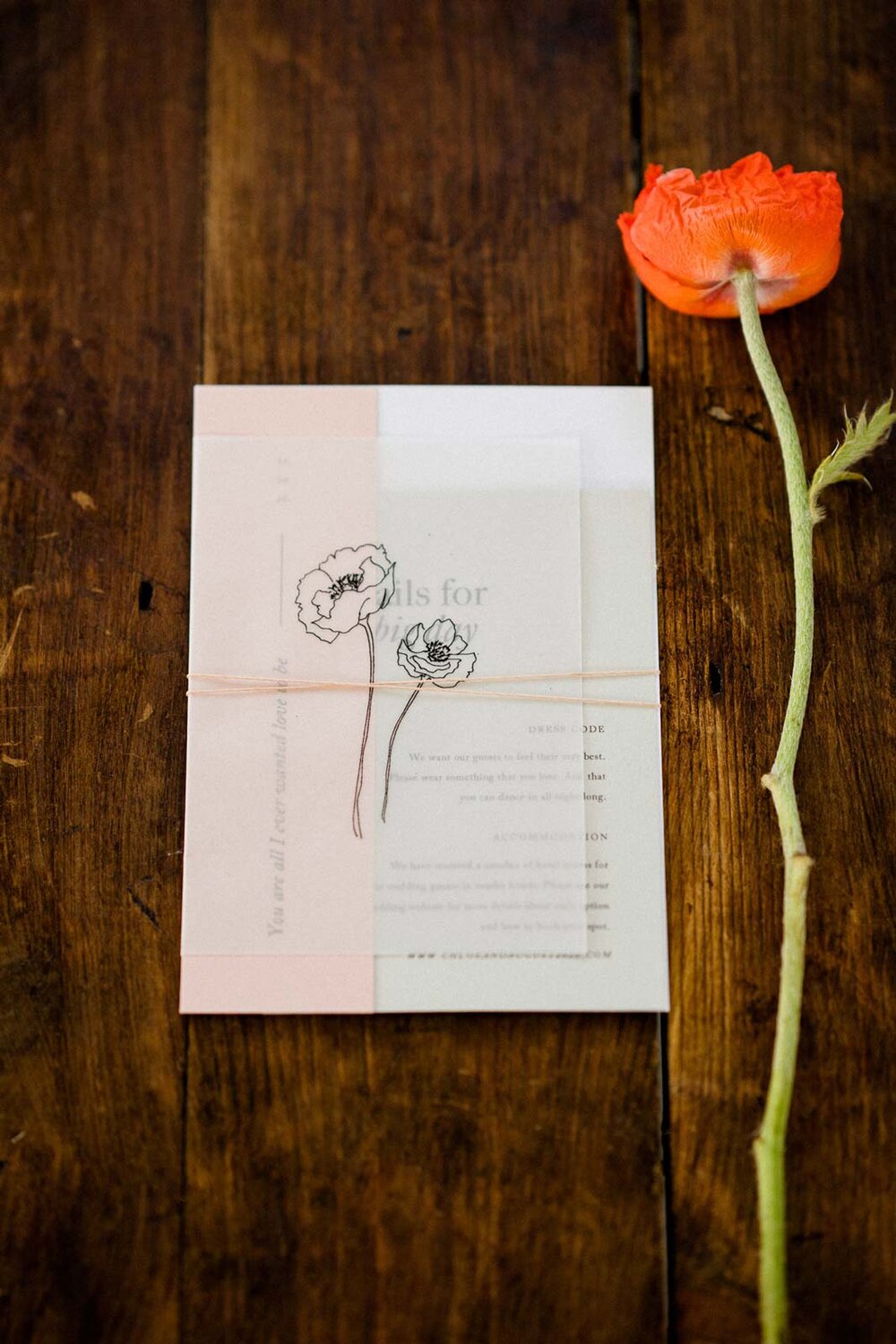 elegant-modern-wedding-invitations-blush-poppy-vellum.jpg
