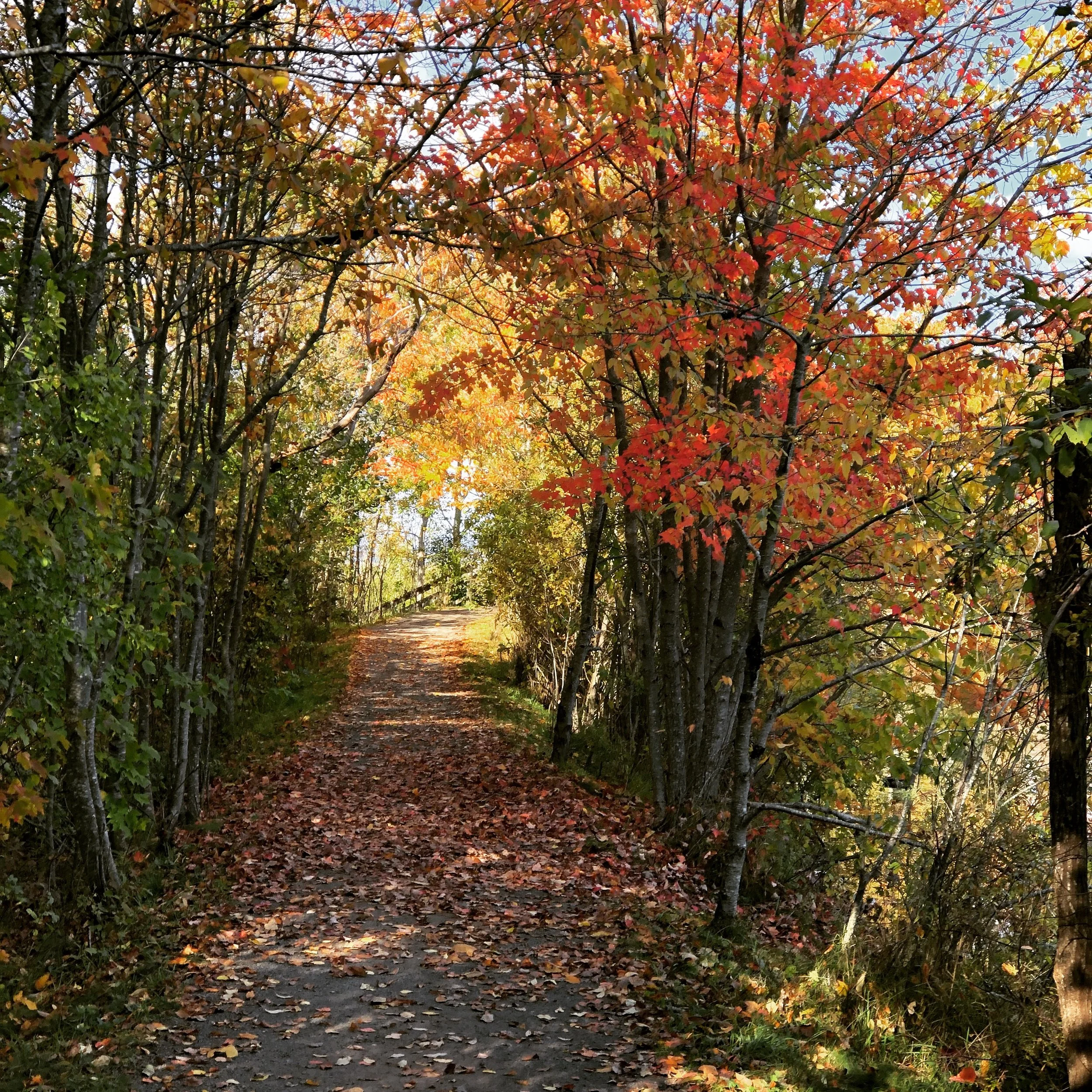 fall hiking.JPG