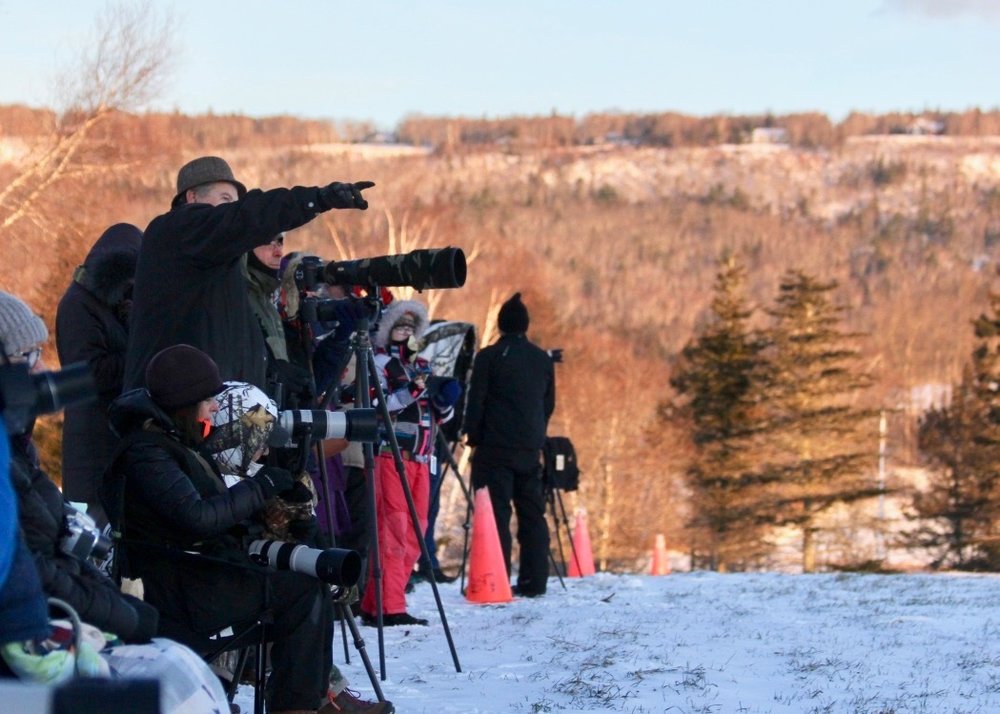 Photographers line up at Eagle Watch