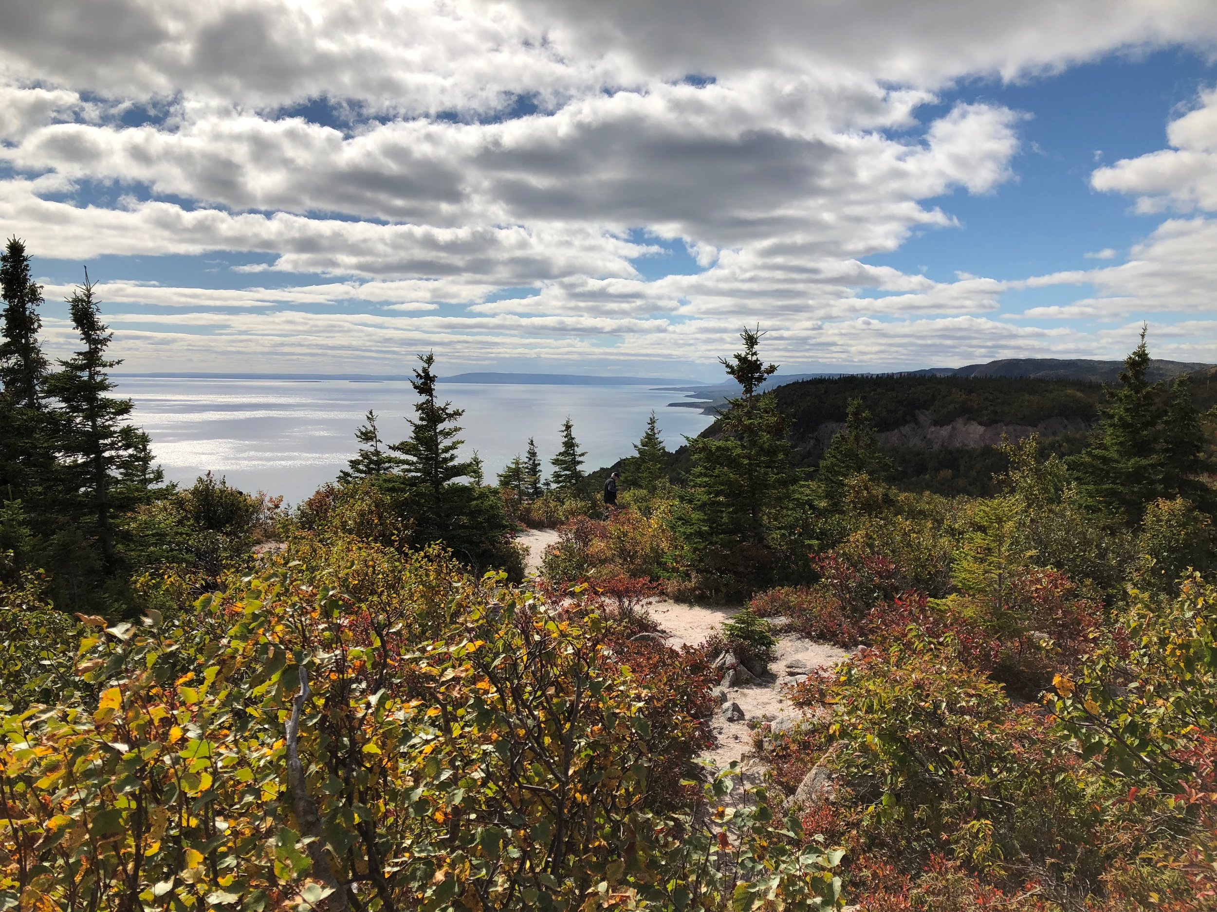 Cape Breton hike overlooking the North Atlantic