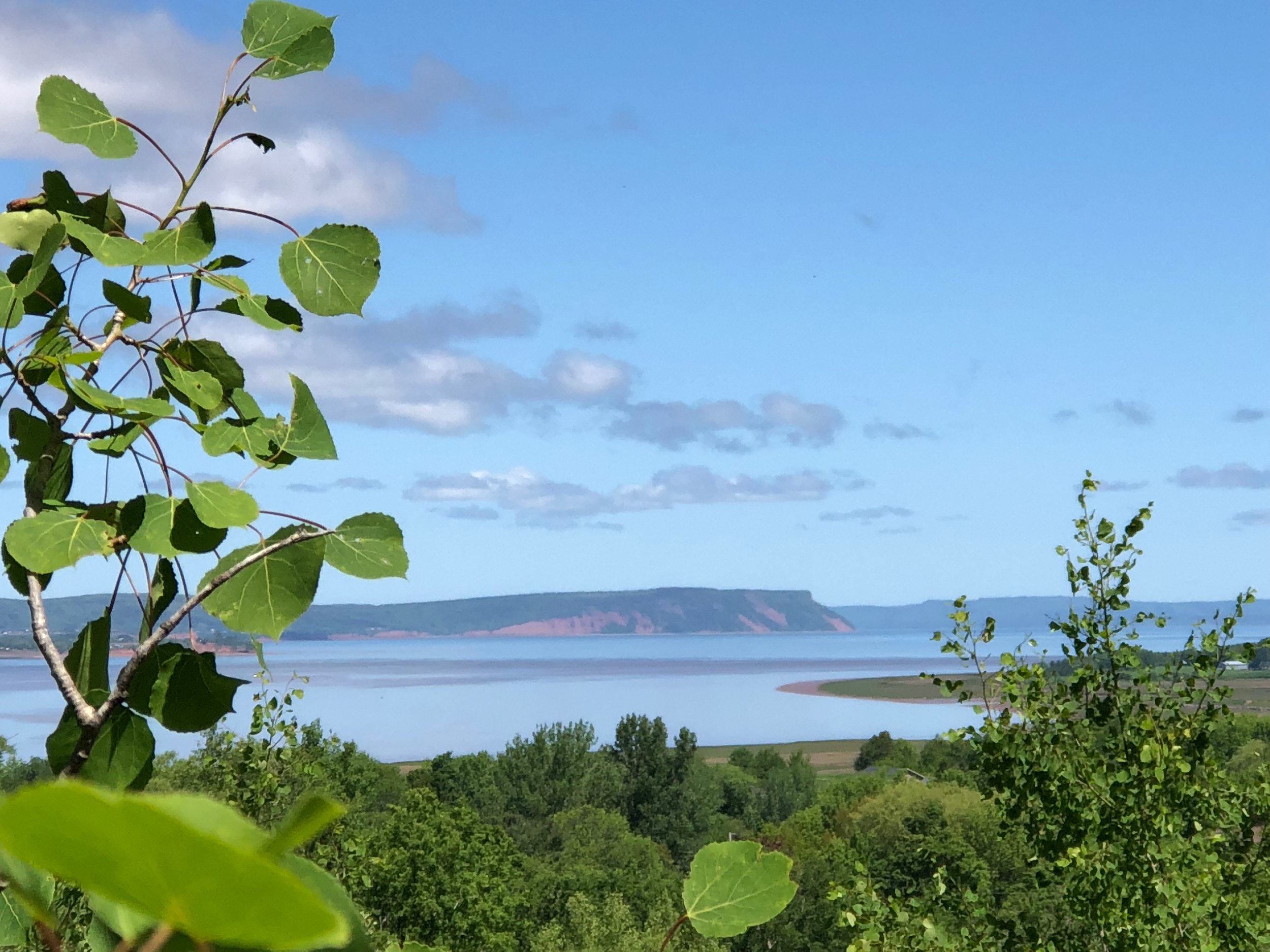 Cape Blomidon in the distance