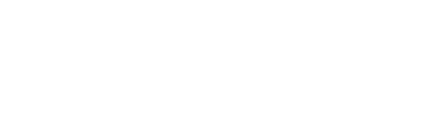Polpo Investments