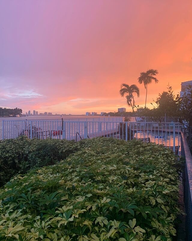 Ok Miami 🌅 💜