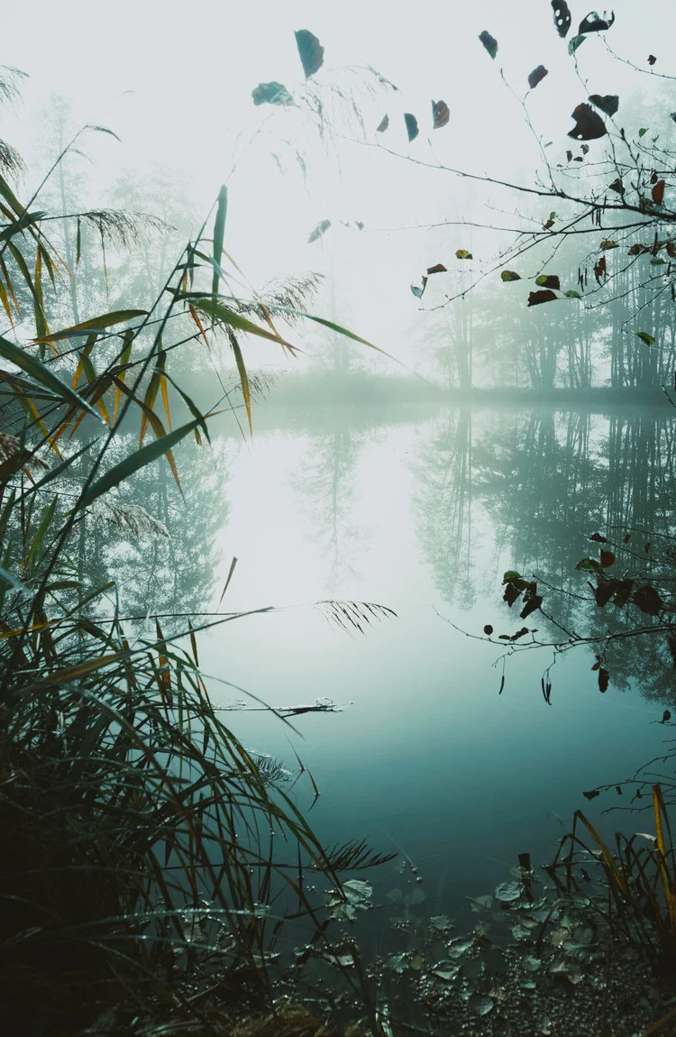 Meditative Music and Herbal Self Care