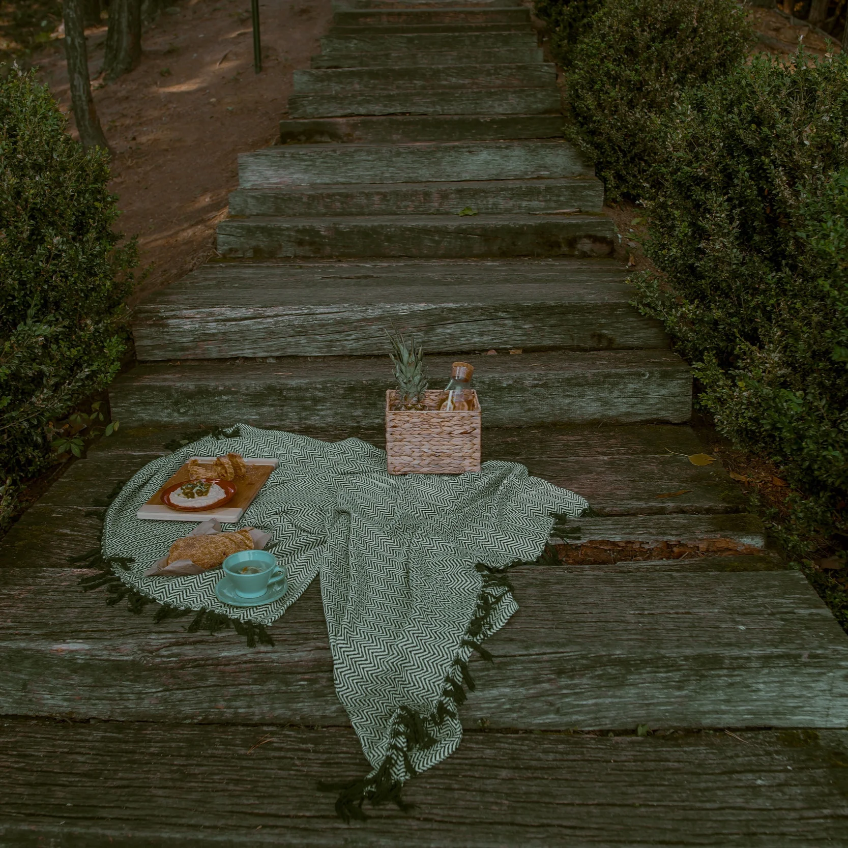 Herbal Infusions and New Vibrations