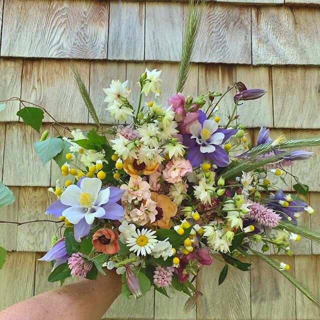 Today I sent this bouquet, and boutonnière, to a couple in MA who had originally planned to have a big wedding here in Vermont this coming Saturday. Instead they are getting married at home, and planning their reception for next June! 
Overnighting 