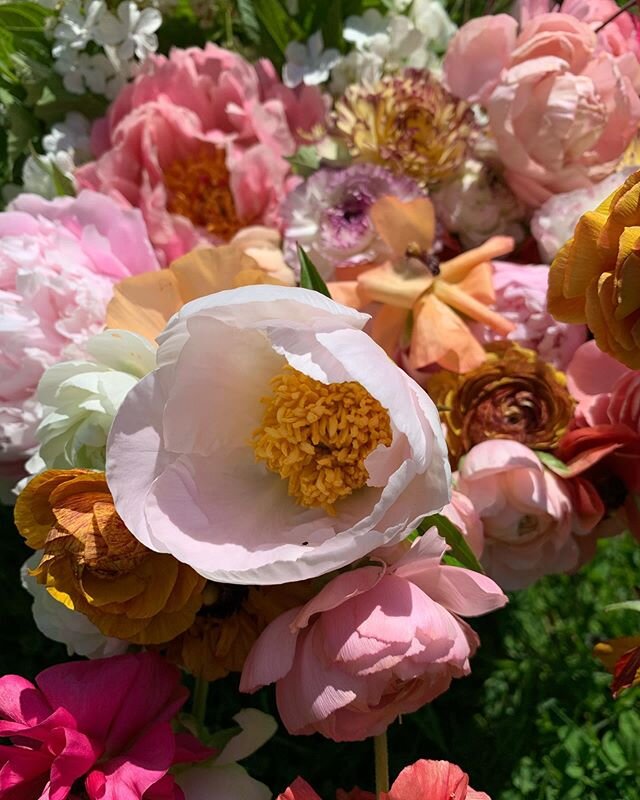 Beautiful bucketful of flowers right out of the garden &amp; hedgerow this morning&mdash; some are for a micro-wedding tomorrow, some will be saved for next week&rsquo;s local delivery/pickup bouquets (local folks, link in bio to my bouquet shop so y