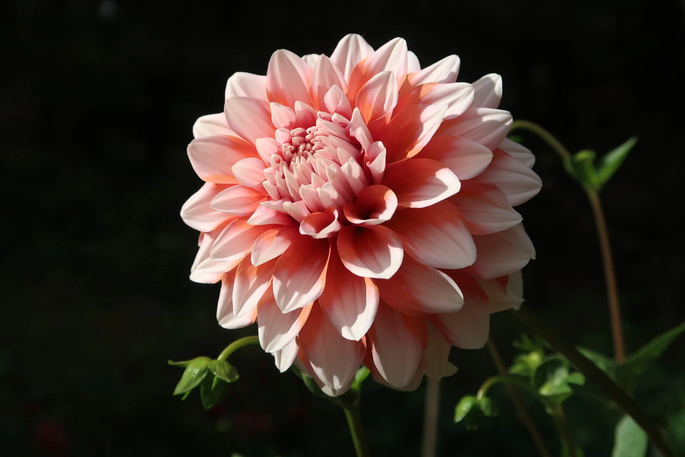 01E1A6E8-047C-471A-B6CD-52AB9C3776EB