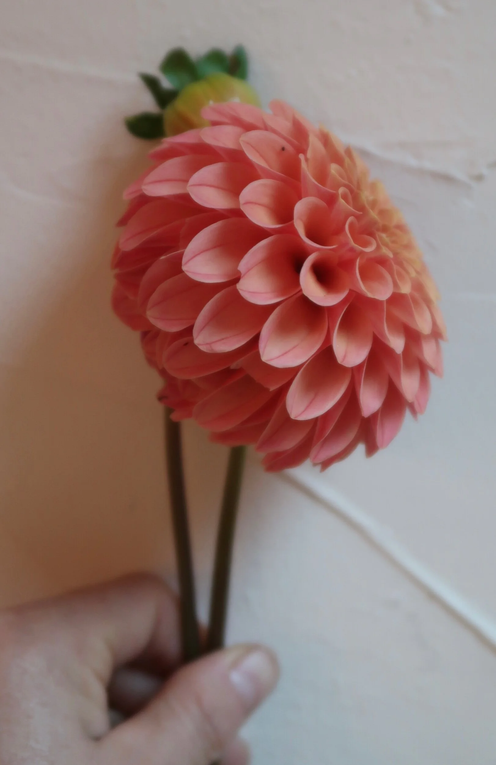 0FEF8A14-E0DD-450E-B427-AEC5A912DE88