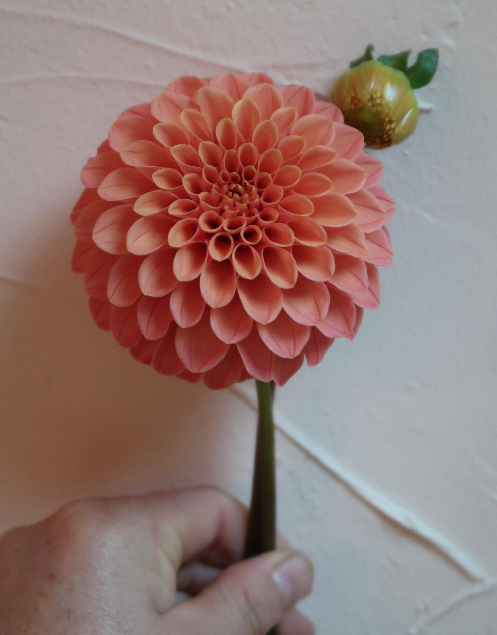 76AC8715-FB1C-45C7-85C3-B52677CF50A6