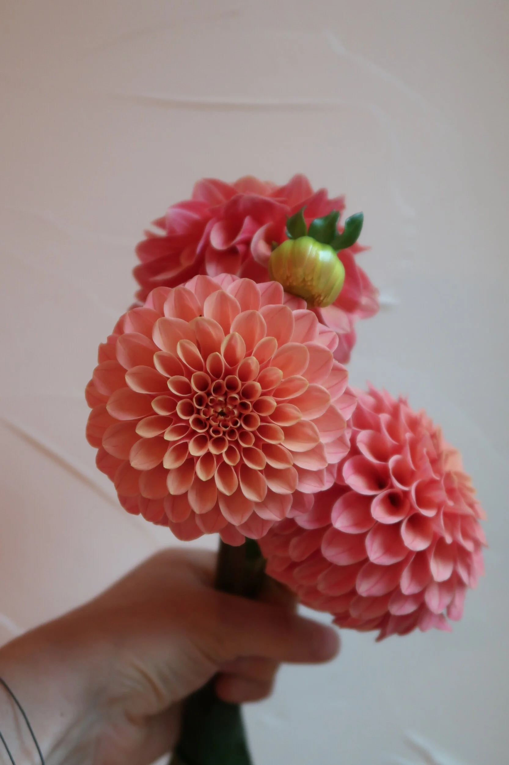 567AC167-4B40-4365-9519-FB860556A7BF