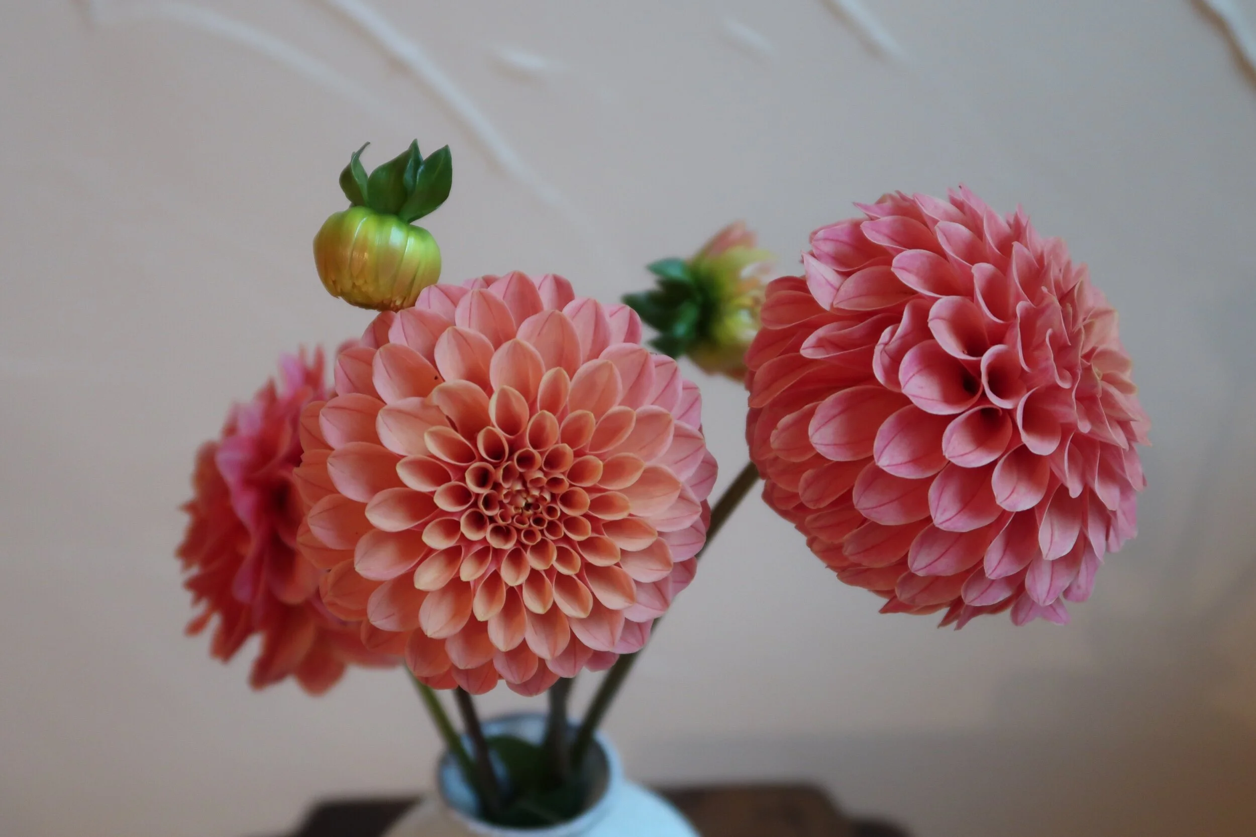 B82219BE-612E-40B3-A4BB-18C61BF71511