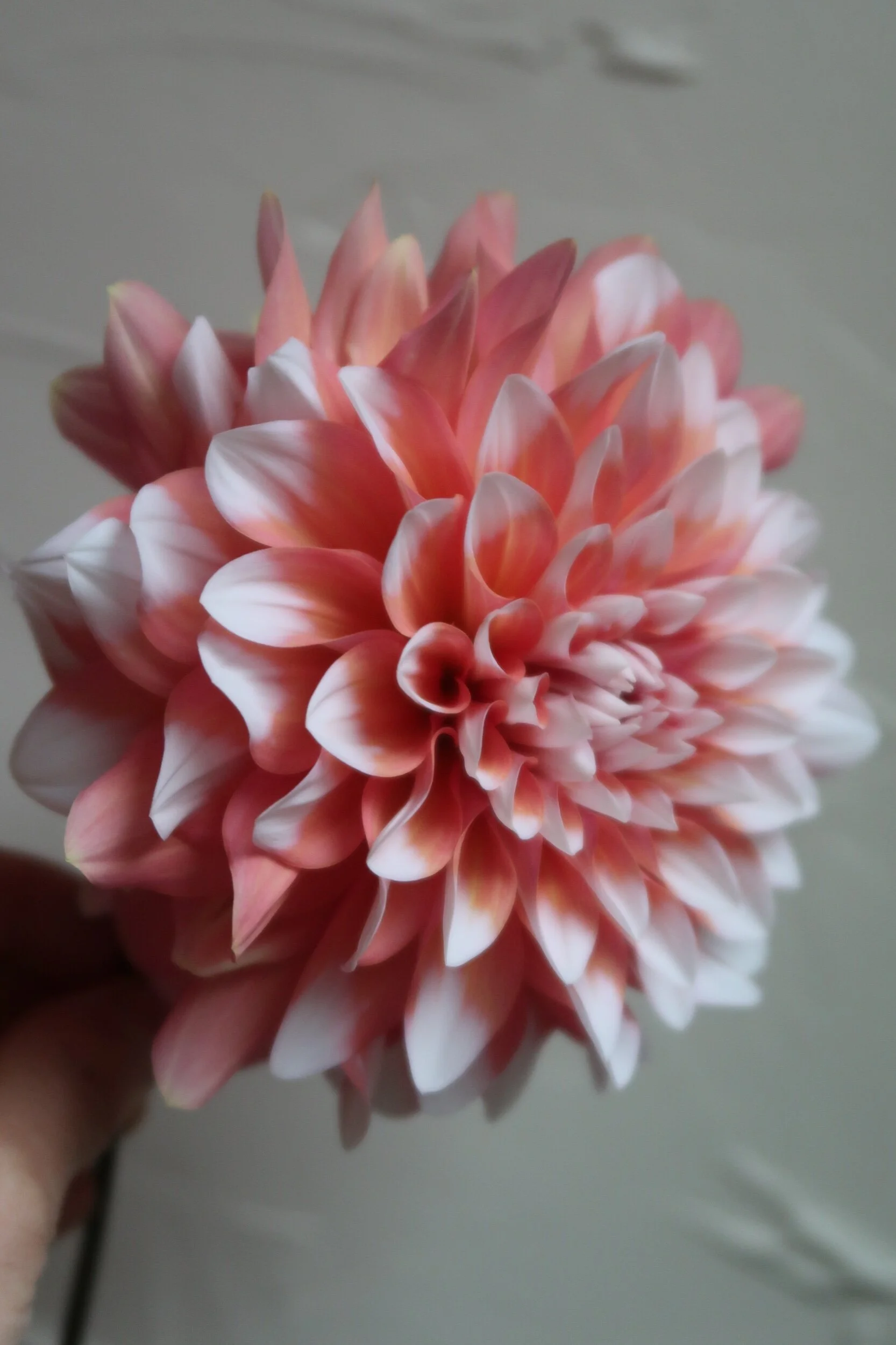 0420910A-5825-4552-BA7A-91F17338376F