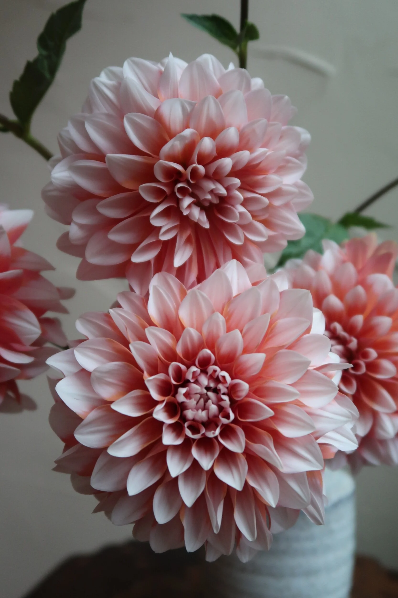 9707BFED-7533-4F70-96FD-A7E1CF4D5E9F