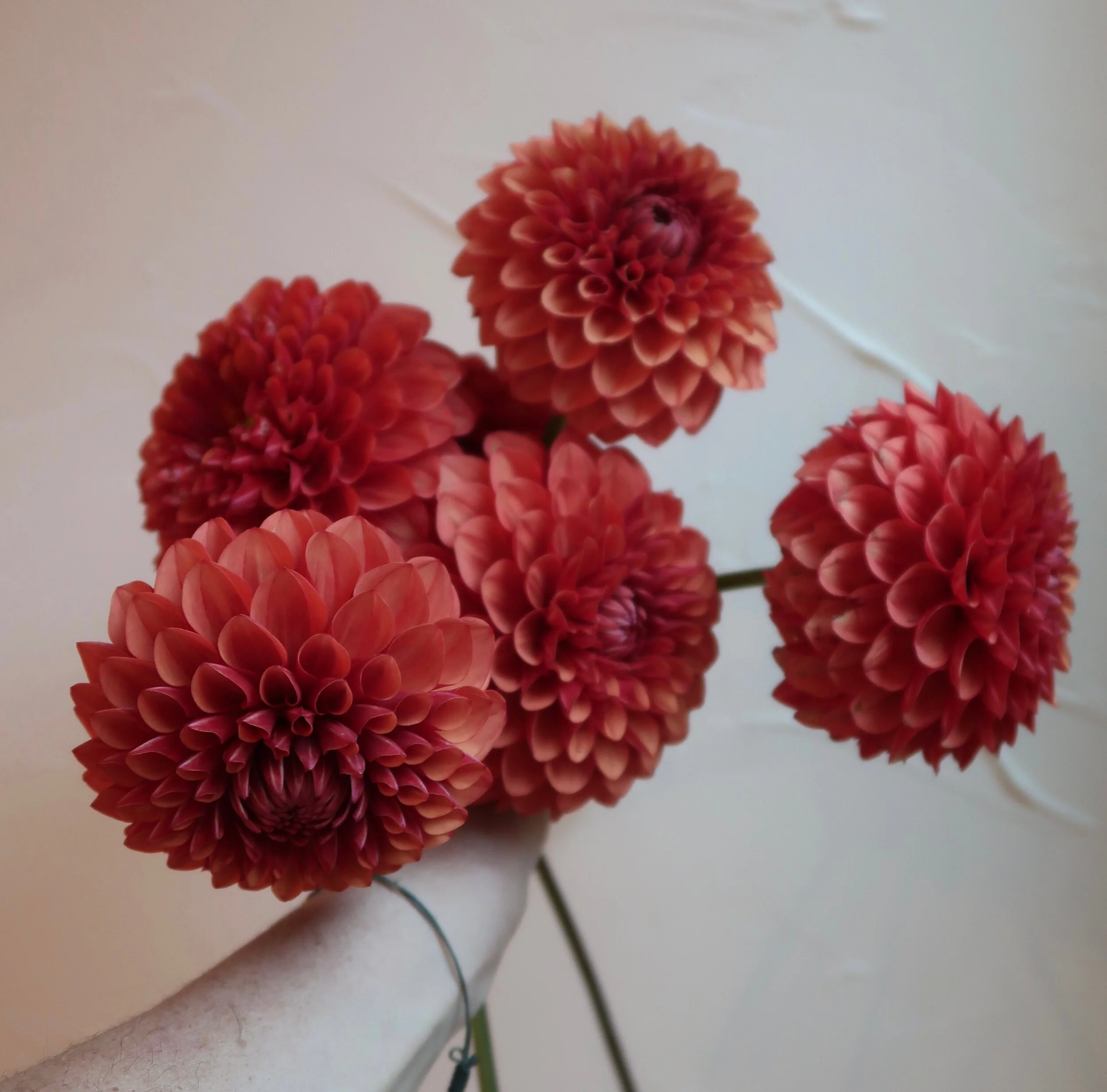 4F47C3A2-4AD0-43A7-9818-B755BCD59F8E