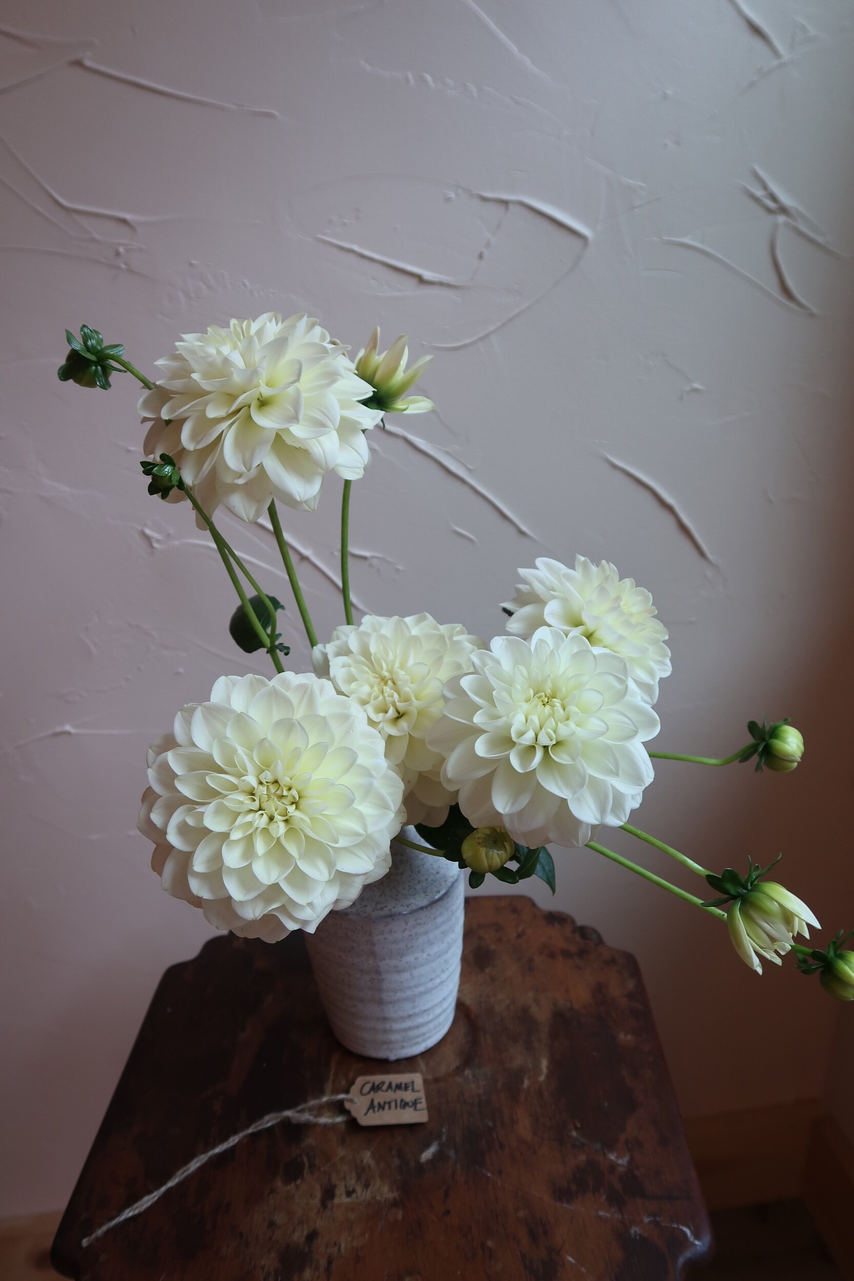 3A3AEB07-5BAE-4548-AC45-5C16B399226E