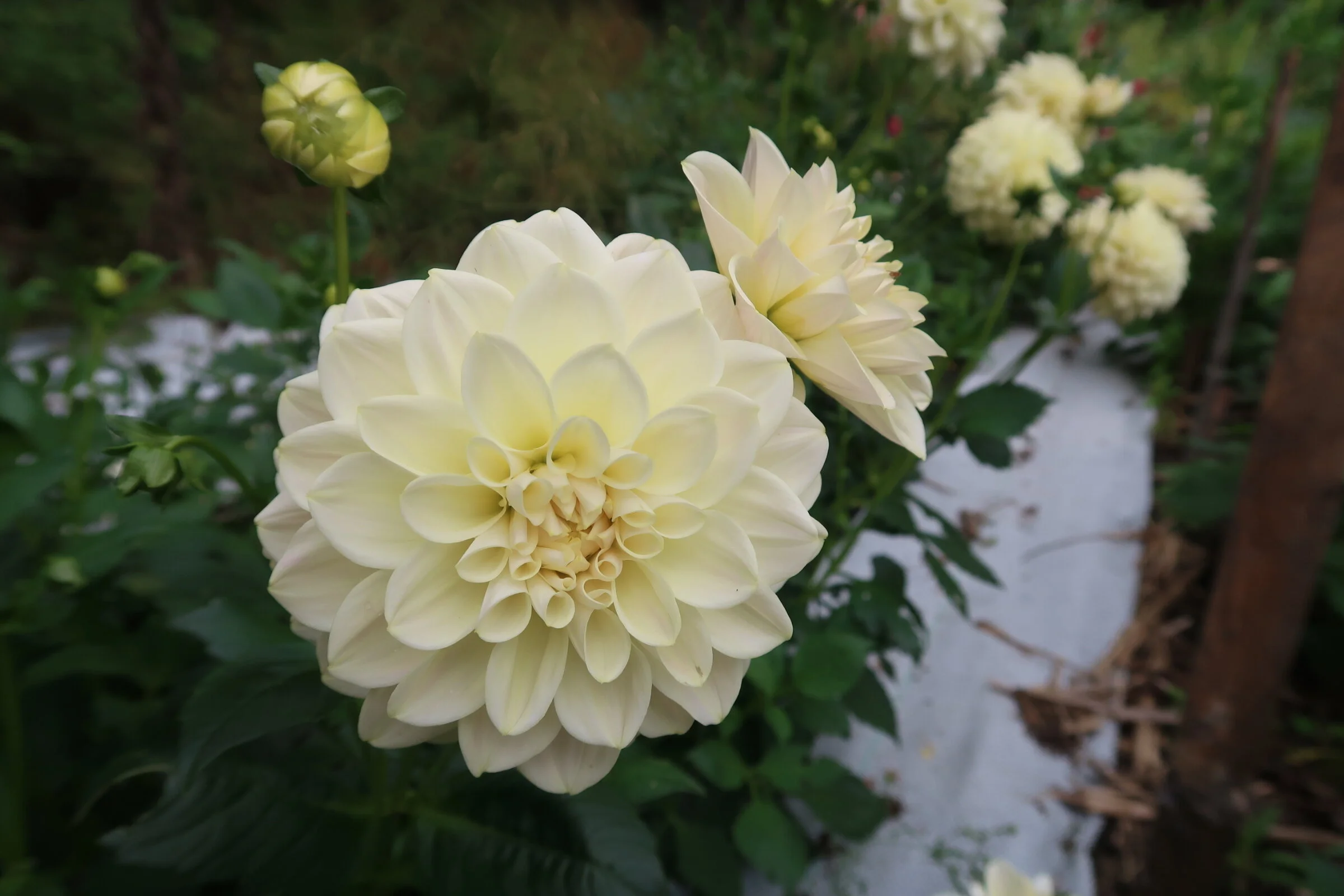 7EFF5929-9C3D-4EB5-B917-5ACC66BB21A2