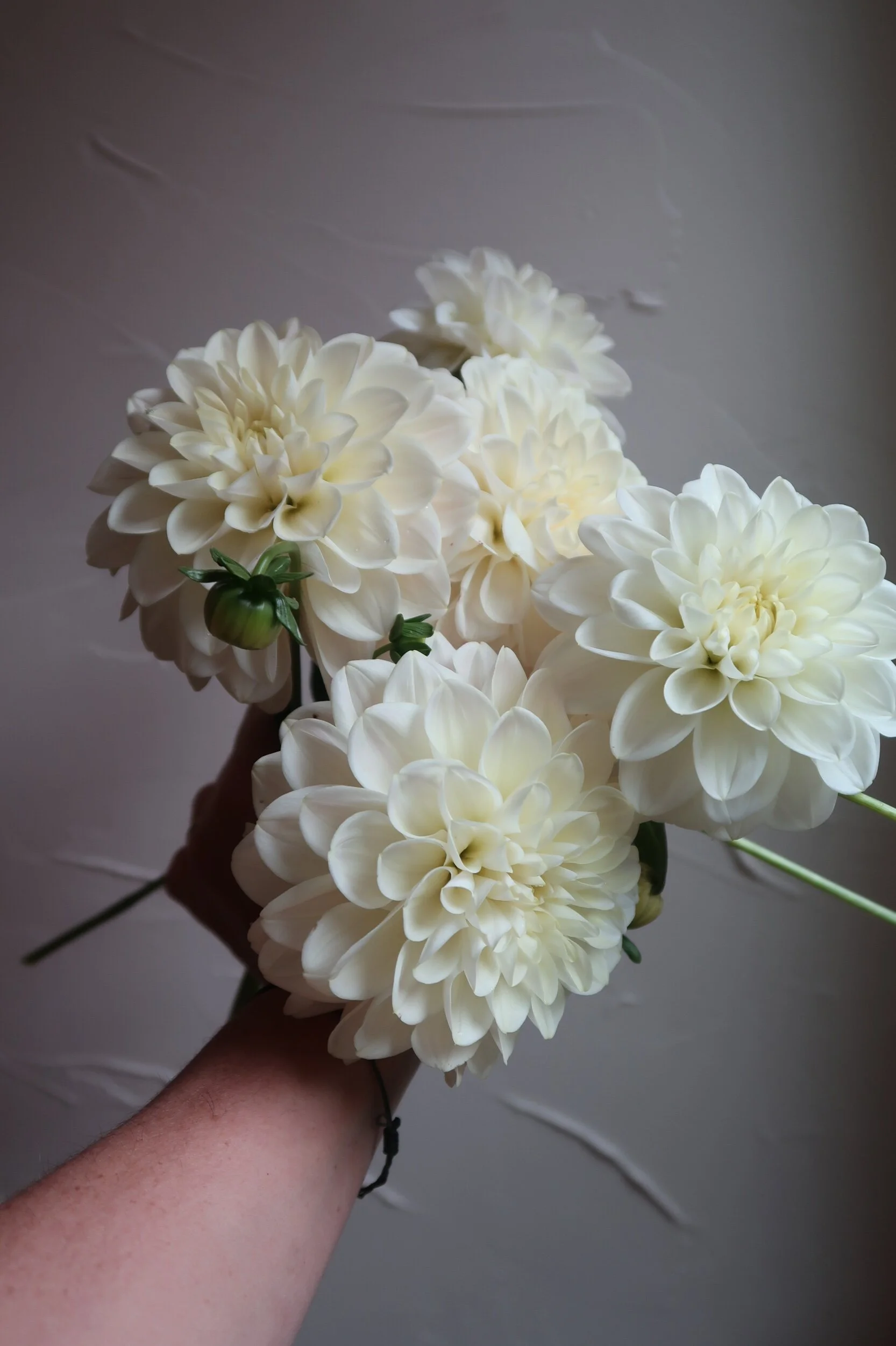 279BEDC0-A6B8-402E-B9BB-212C55A4D645