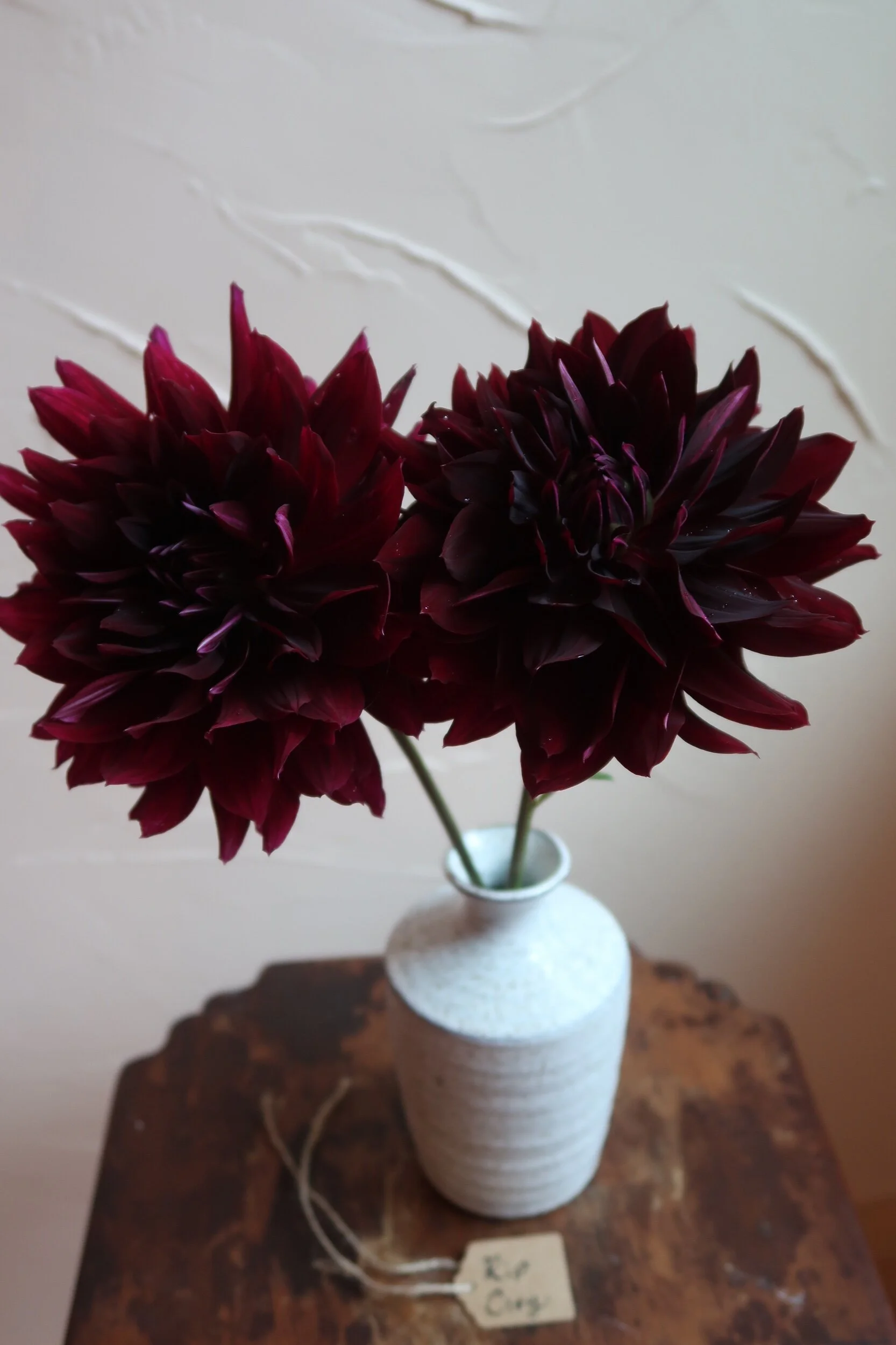 8F71D8BA-4410-4815-A3B0-BD776F1F3E60