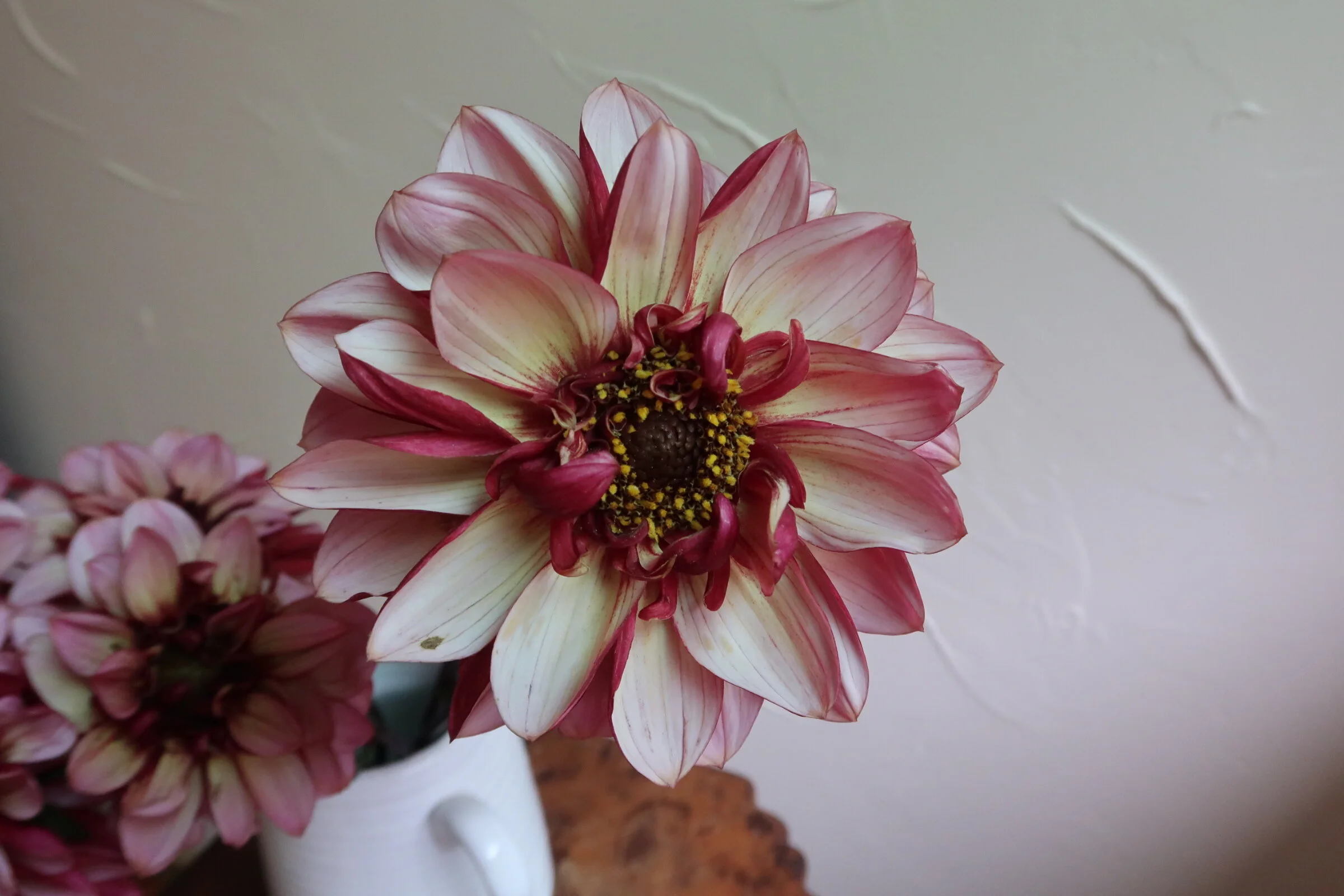 D96A466A-9F06-42B7-B946-20FE830DD9E1