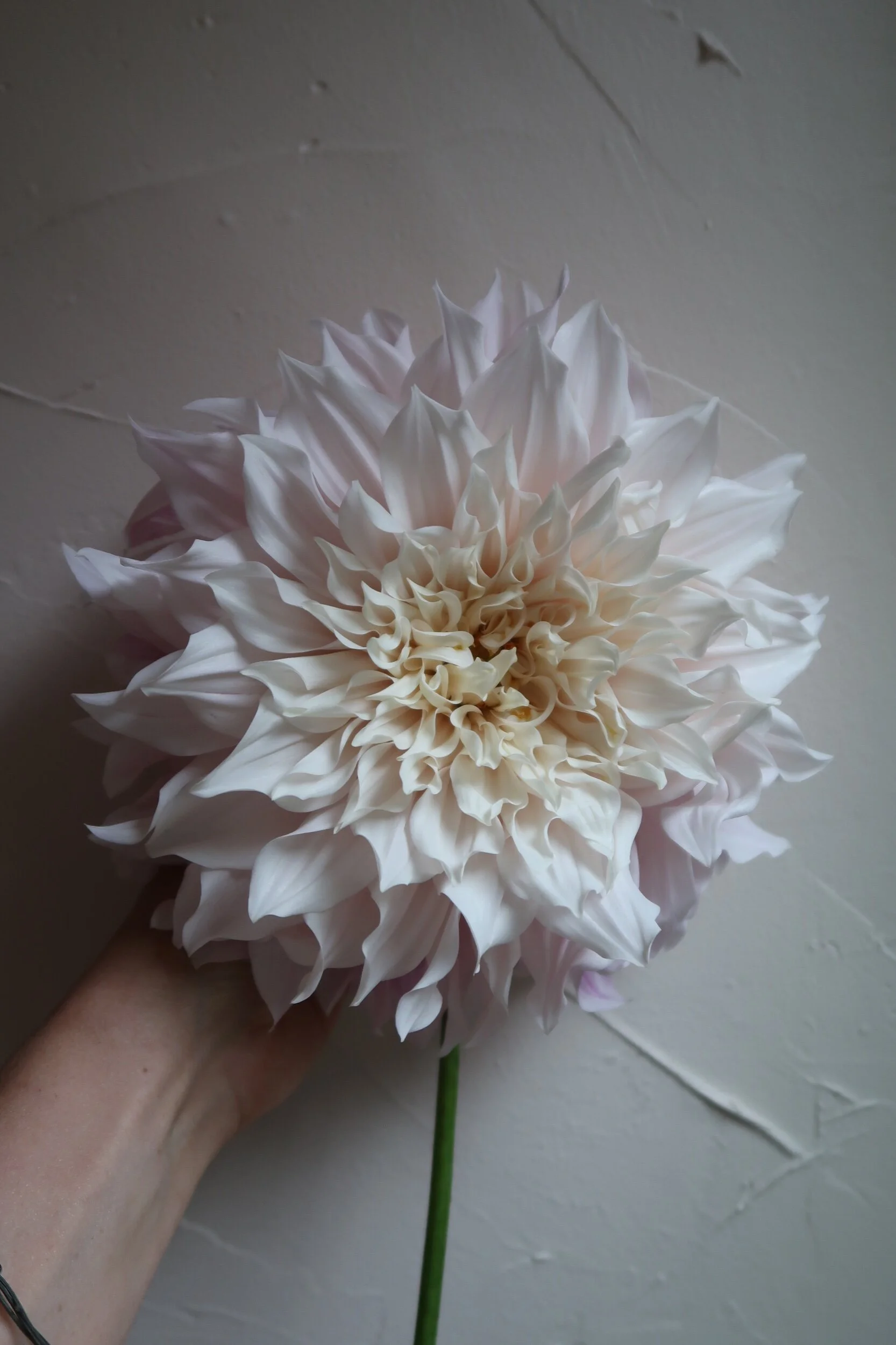 89C514A6-9E4A-4C47-B25A-0369BC3CE1C1