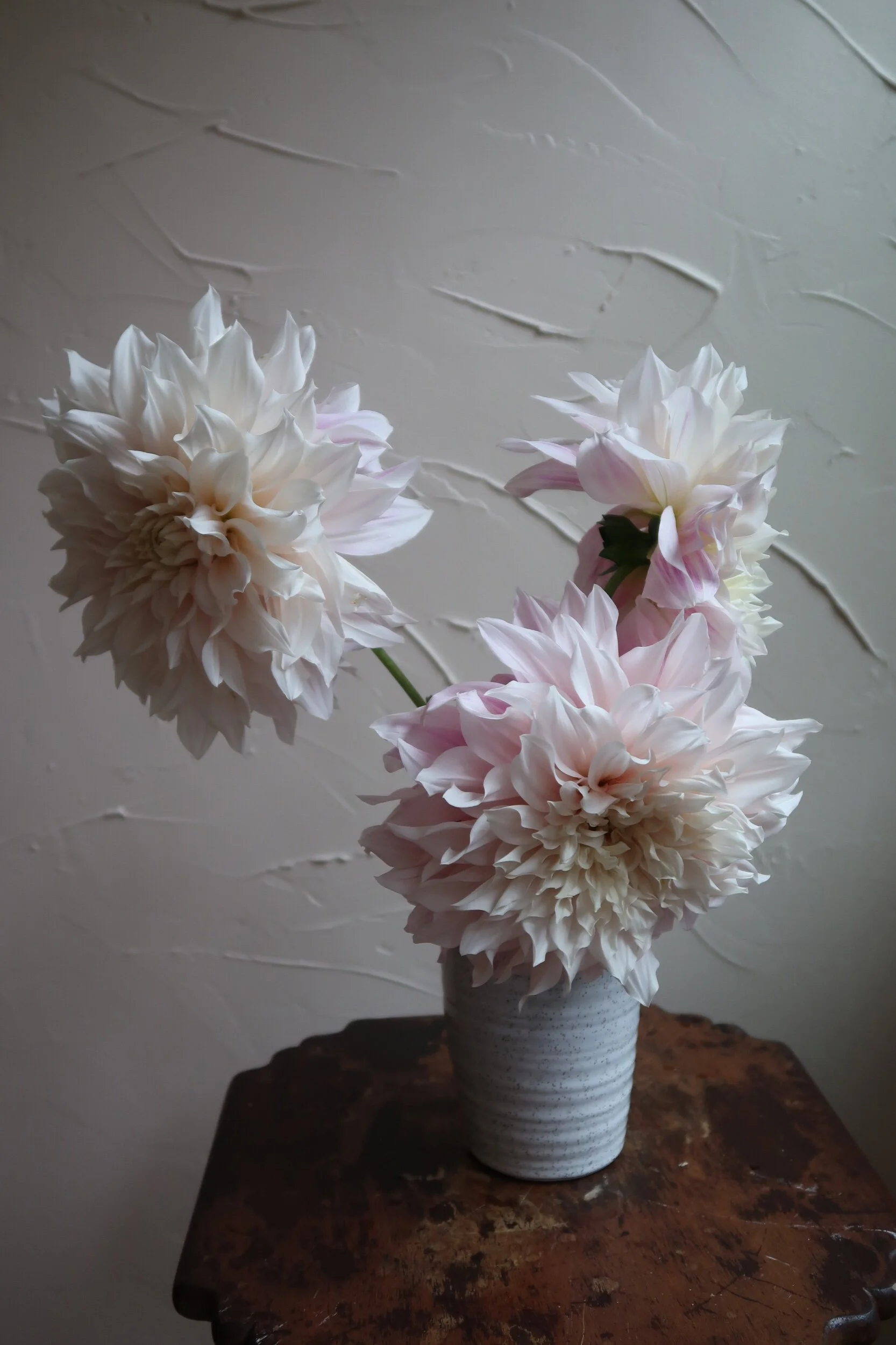 25BDC21D-8C15-4D45-8612-F702893701A7