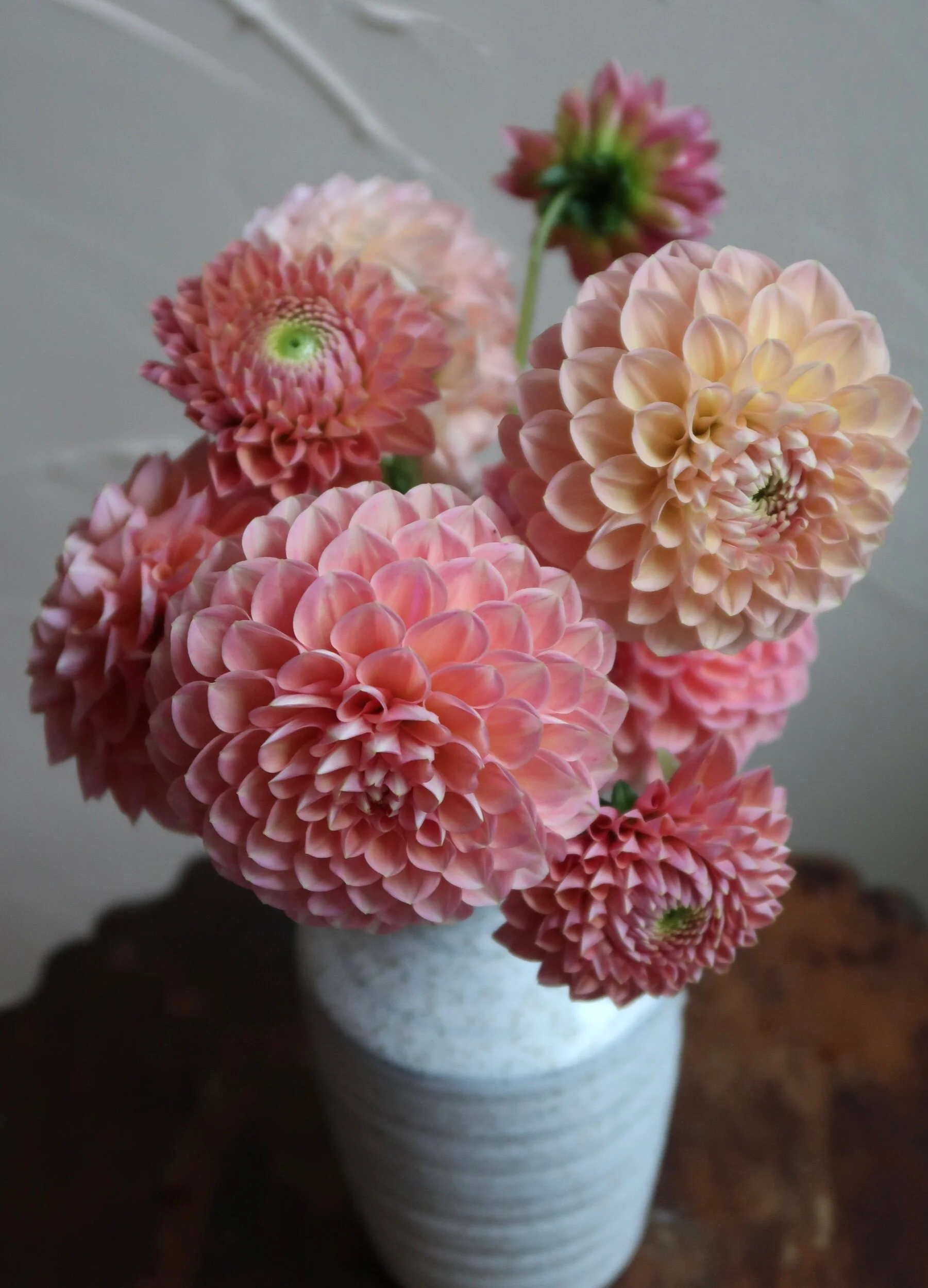 0D2F6BCA-1063-43BA-BA21-B5F02C4306CD