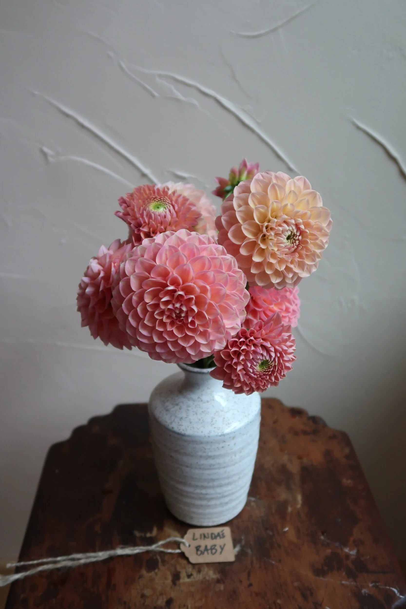 70424F2F-4545-48D6-8602-7187A754DB58