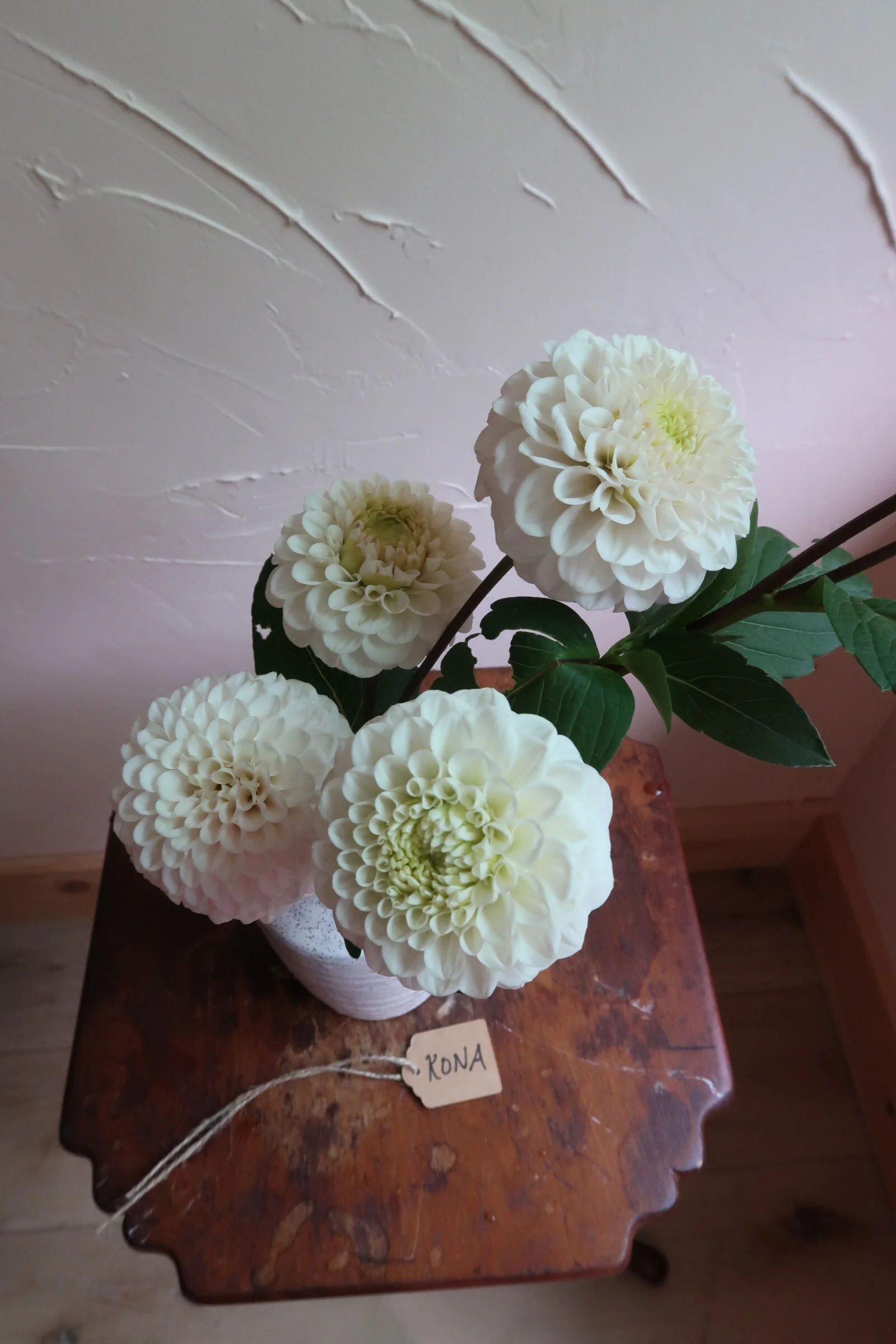 709C5304-8F82-4ED4-850C-179008471133