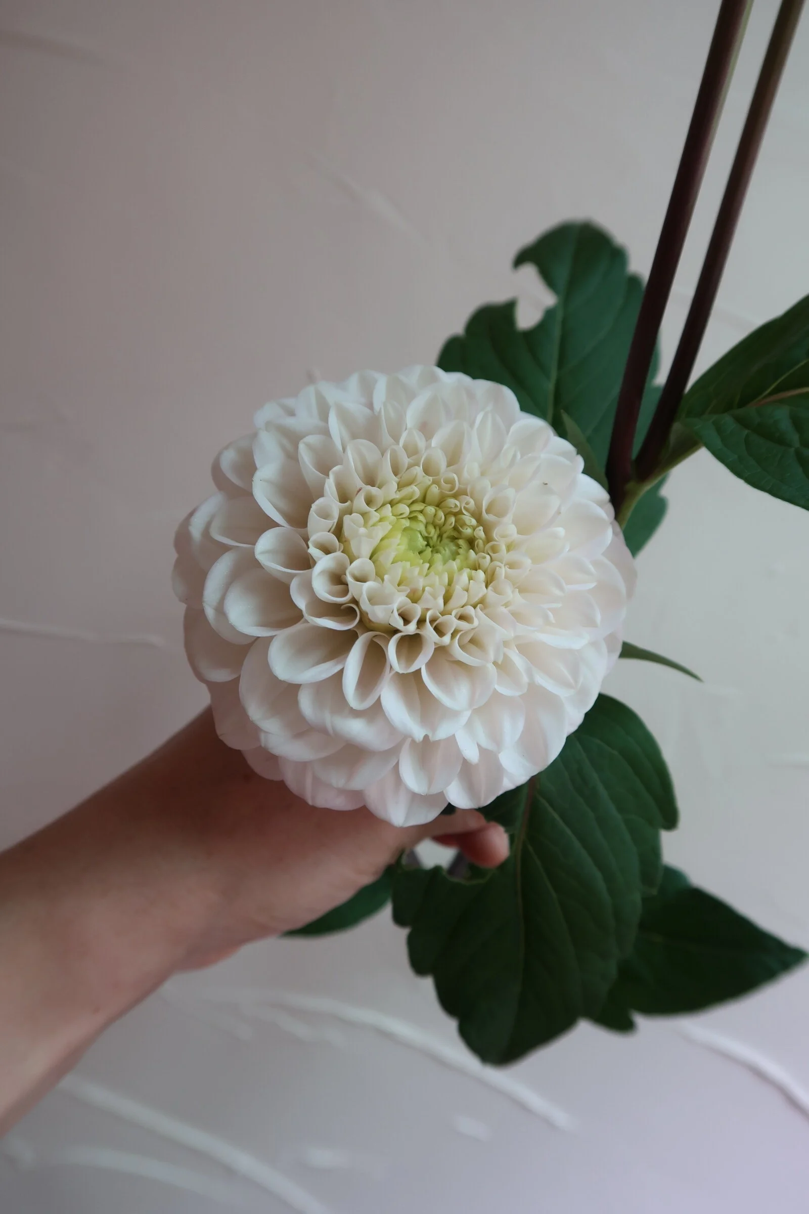 7CB765BA-C2BC-4302-B1D1-7192D091322B