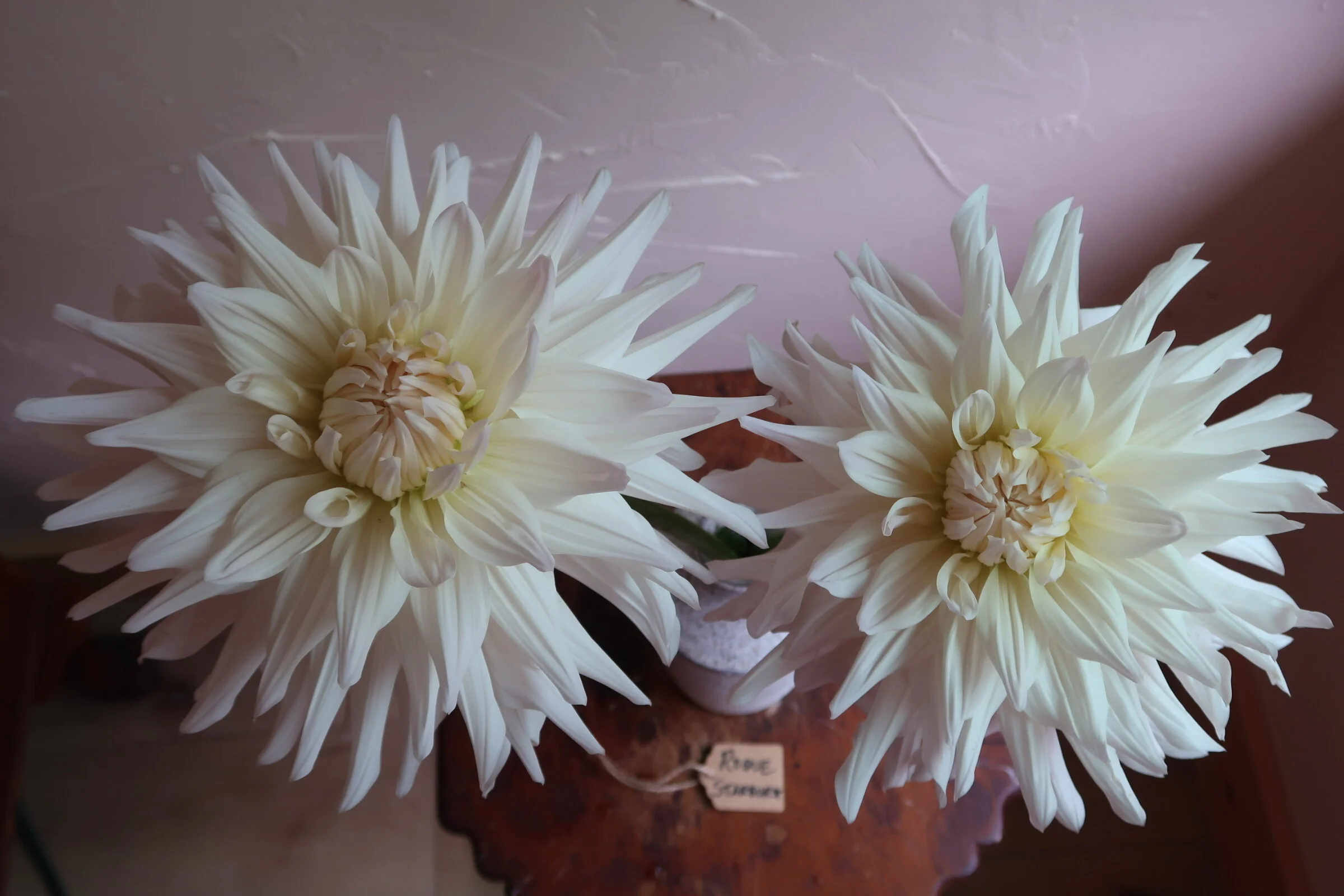 CB6DD9B8-FF87-4A7A-BA4F-22F8CEF8D23C