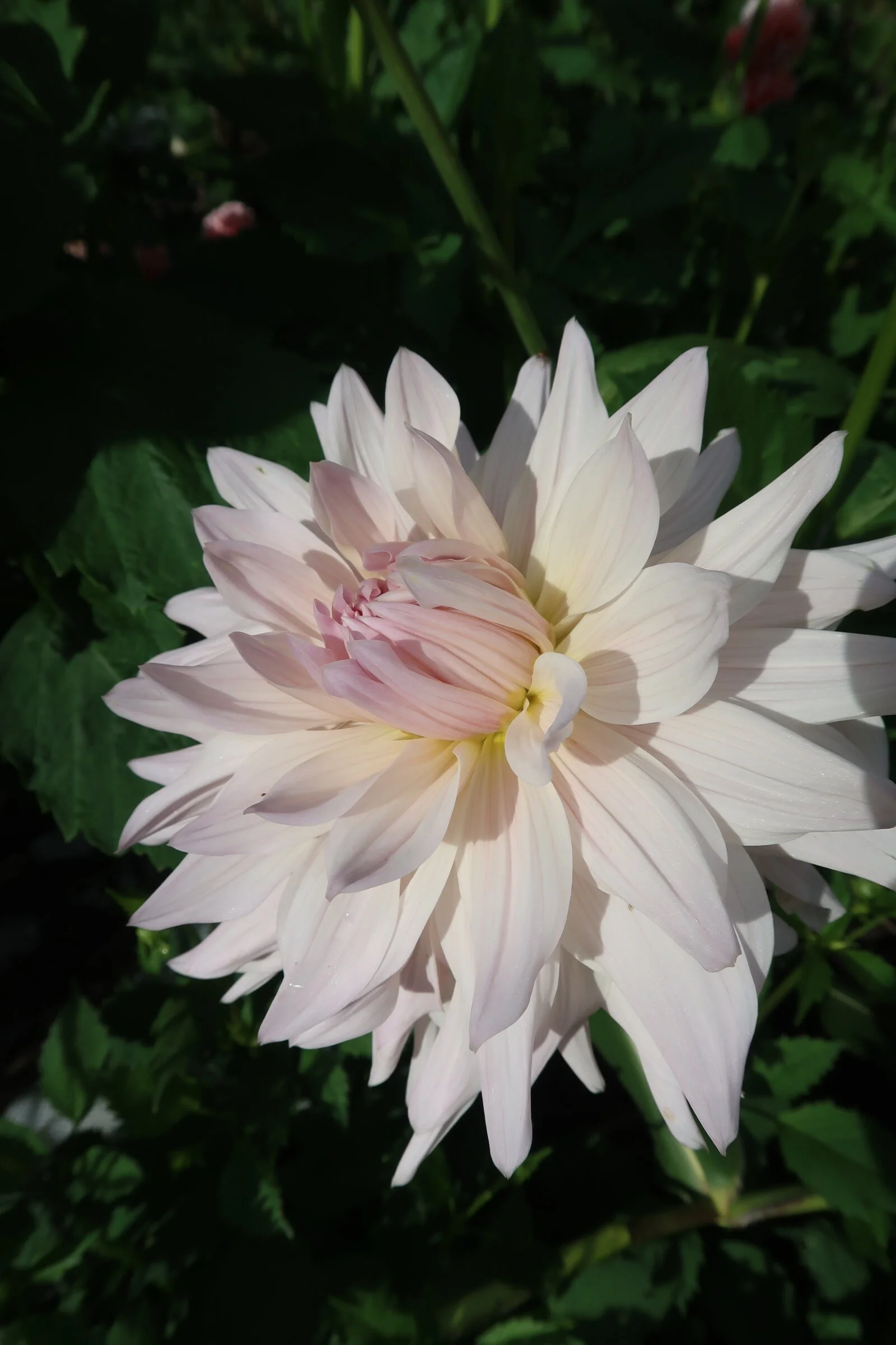 B08EB149-5350-41BE-8D27-F7A1FFCA70F5