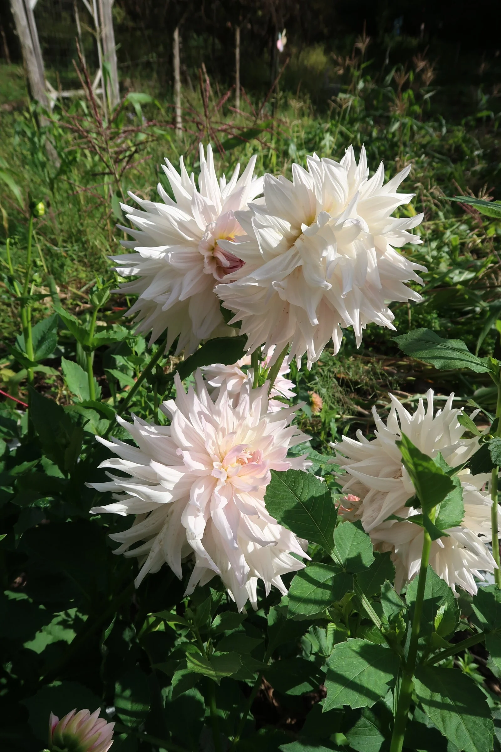 E65F7E1A-71FE-4BE1-B309-4CE0231C2D7F