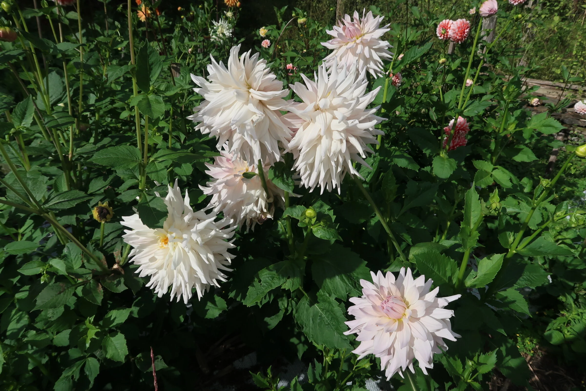 2F860D40-1CC5-427B-8FBE-93DFA59D9A01