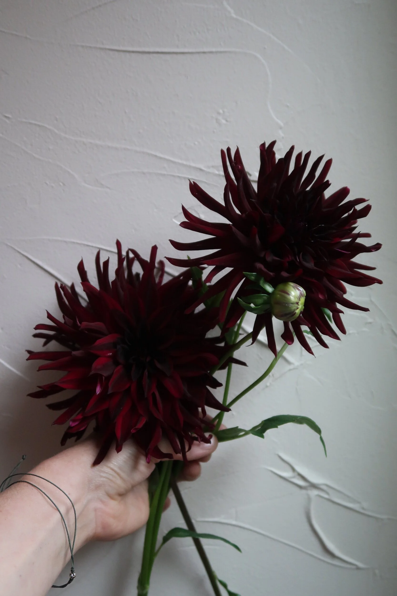 3D718200-02DC-40BF-93A3-F6052C19416D