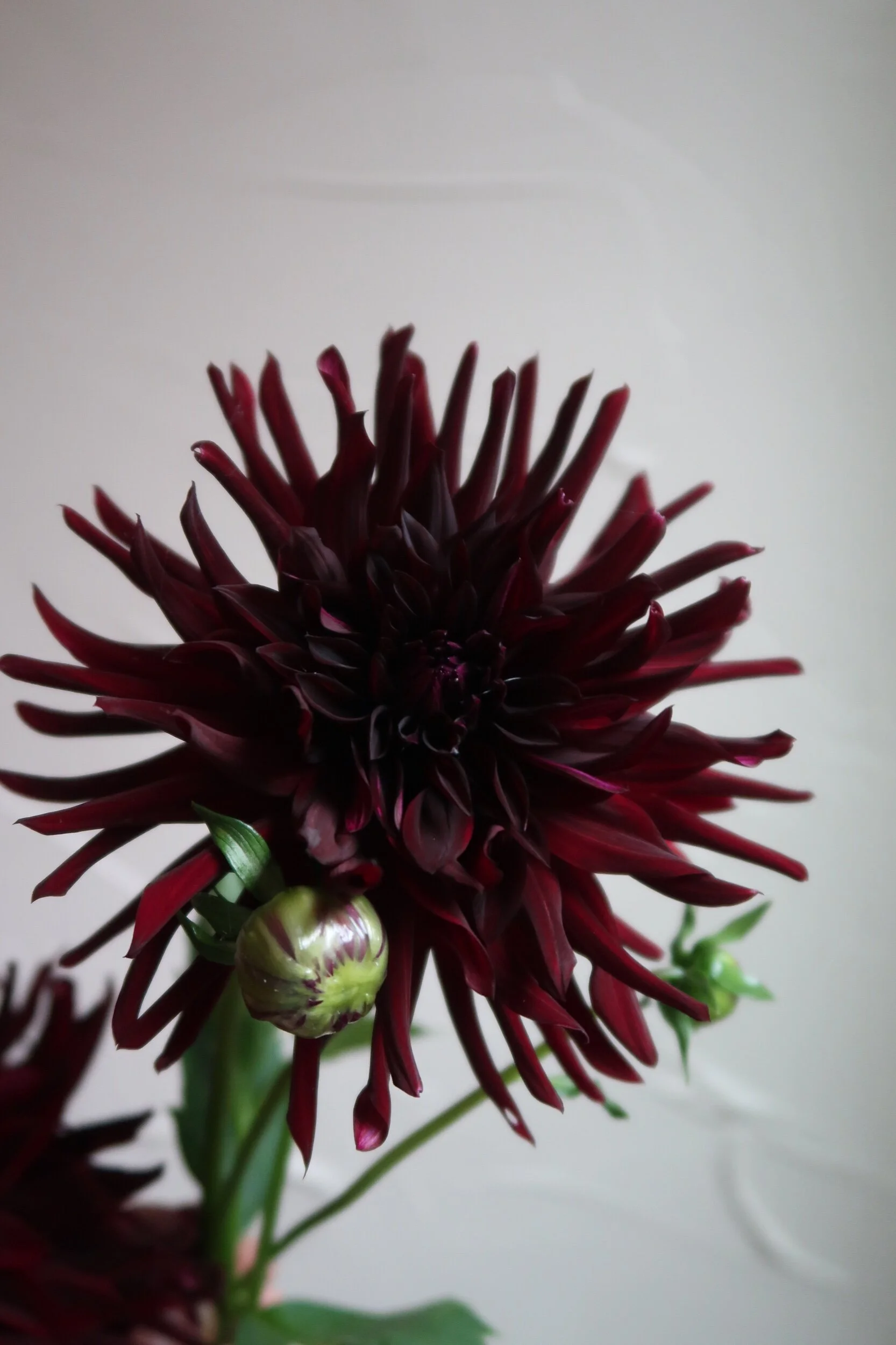 404BA3AD-085D-4FB9-BAD7-51232D675CE3