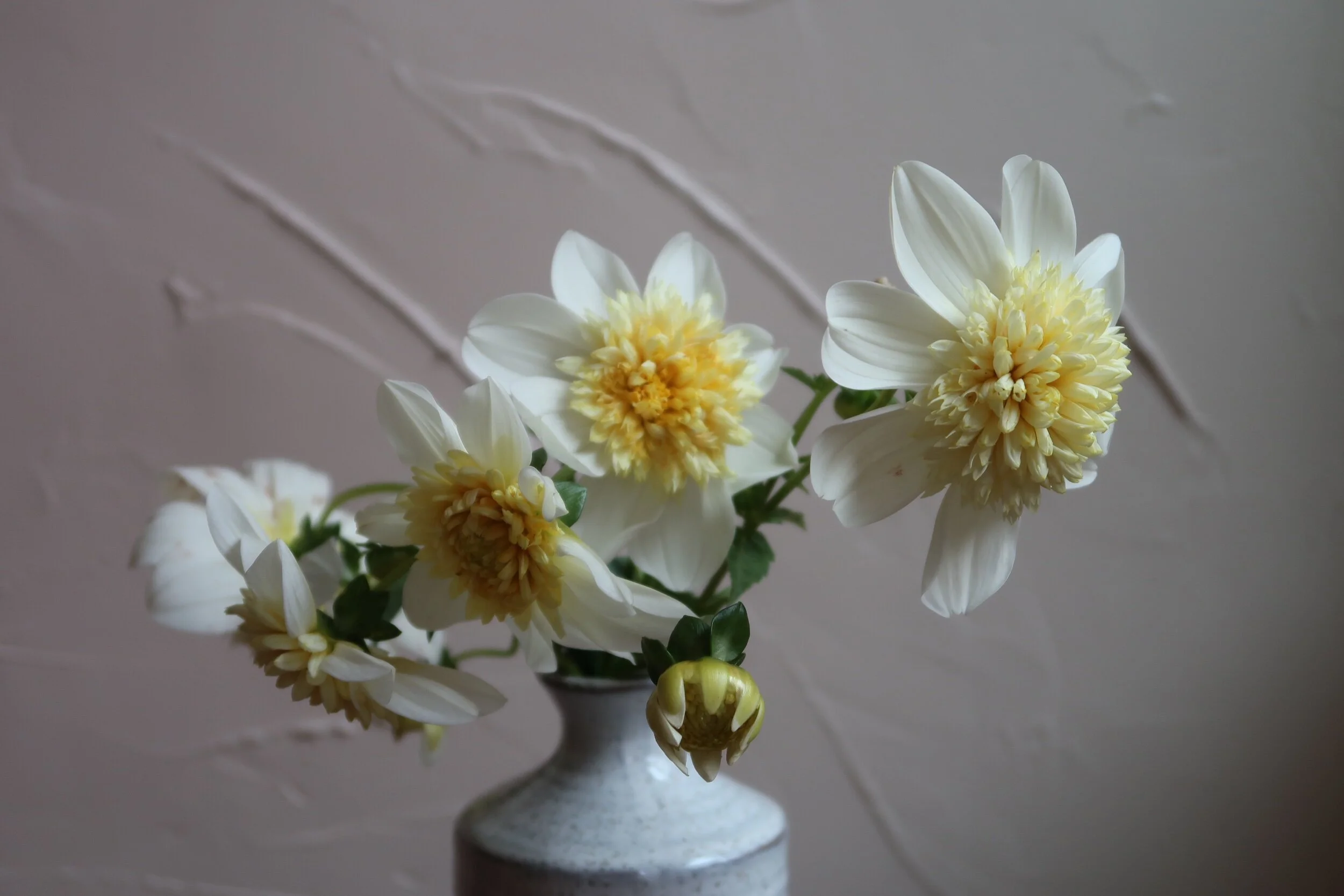 0676AB57-D631-4B64-9FB3-EEC0BE034D93