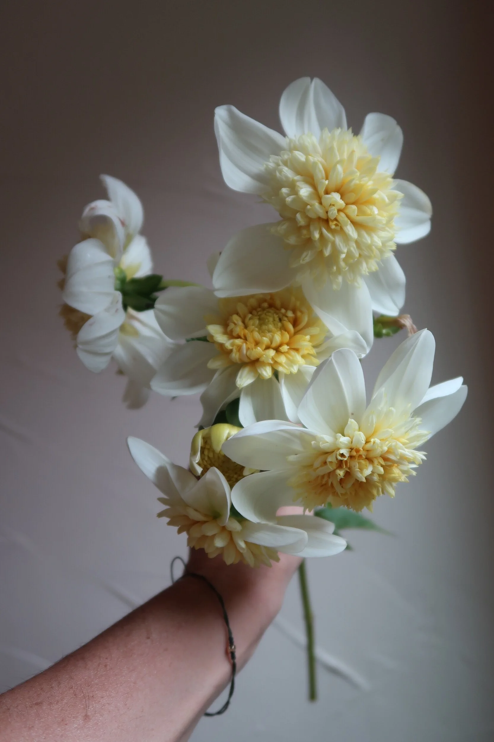 CC057242-2753-448F-B029-06C2BAD37B7E