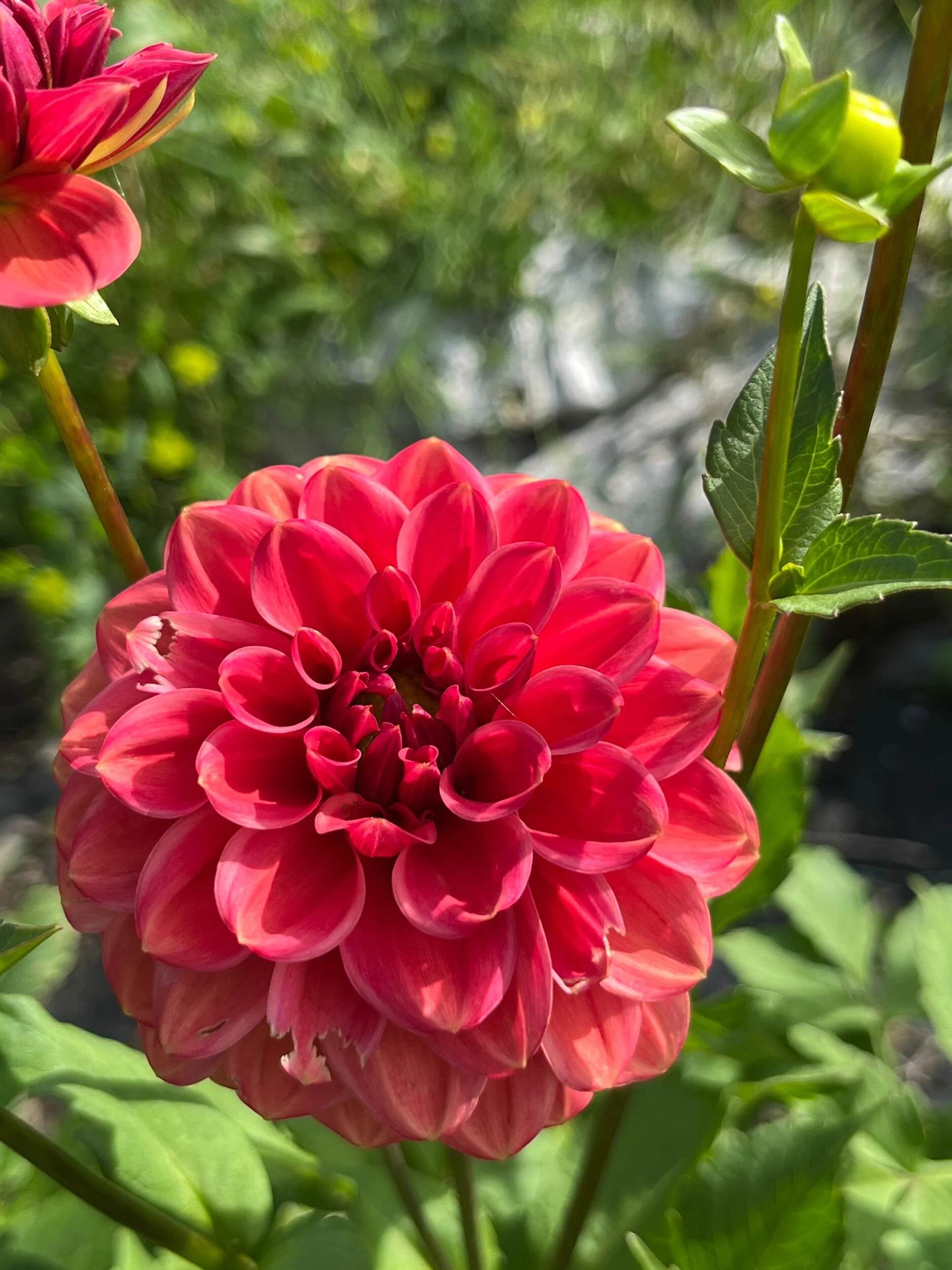 6392AE7C-1219-41DC-A158-43873290DE76