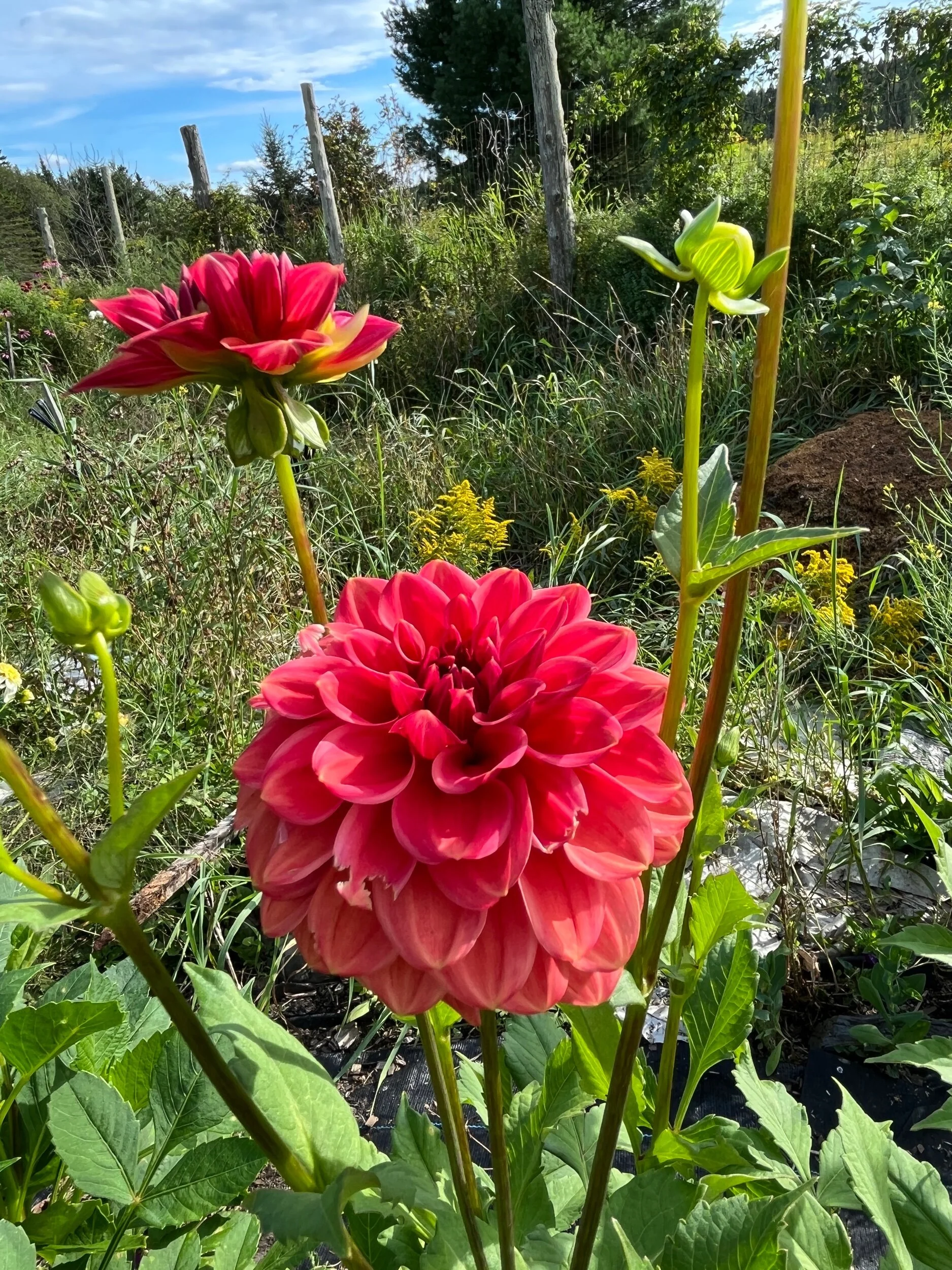 F8CC6AD2-DBC7-4446-B5AB-94B945E3561F