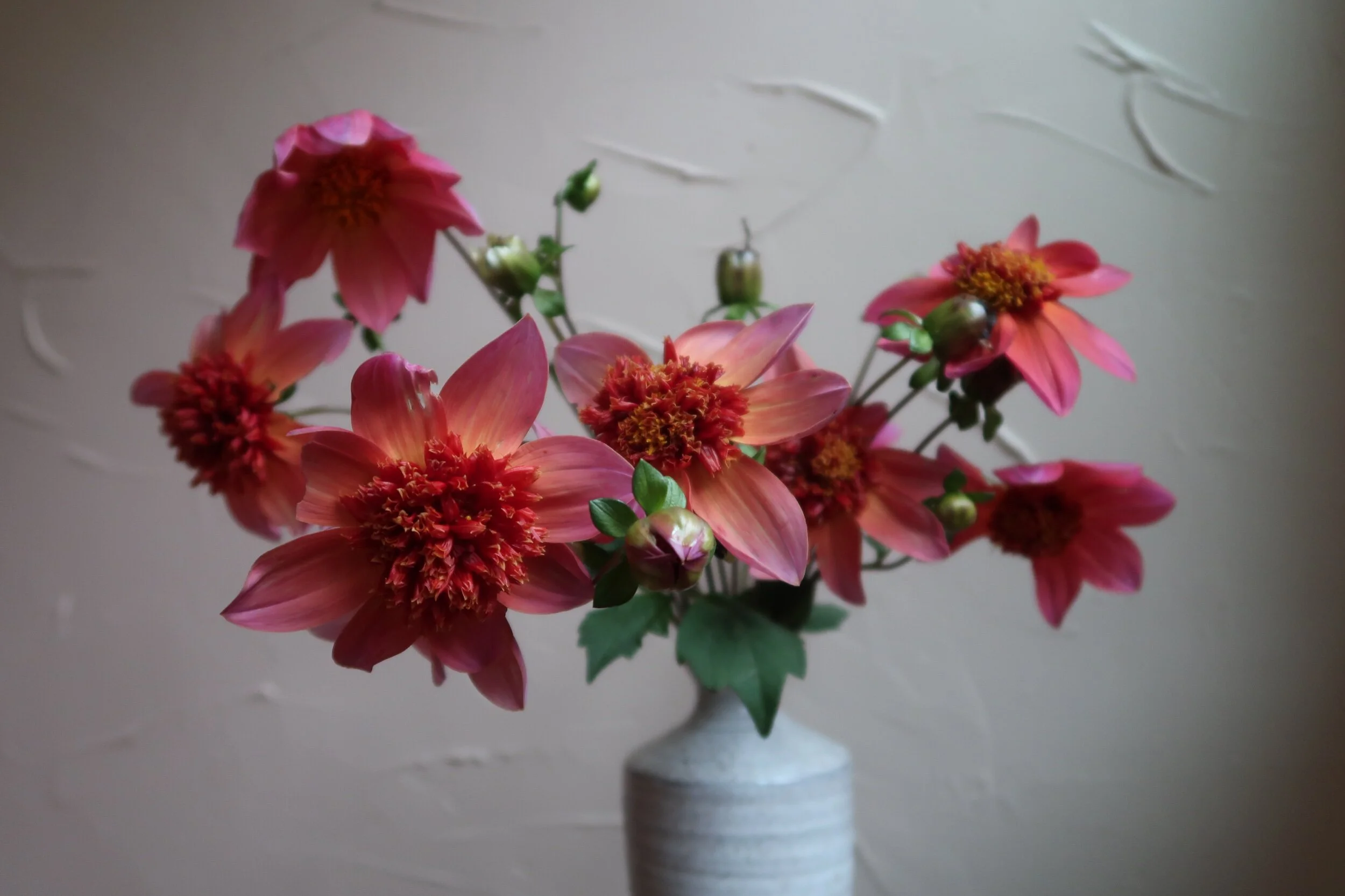 1768823E-AE10-47B9-BEBA-8BB888785084