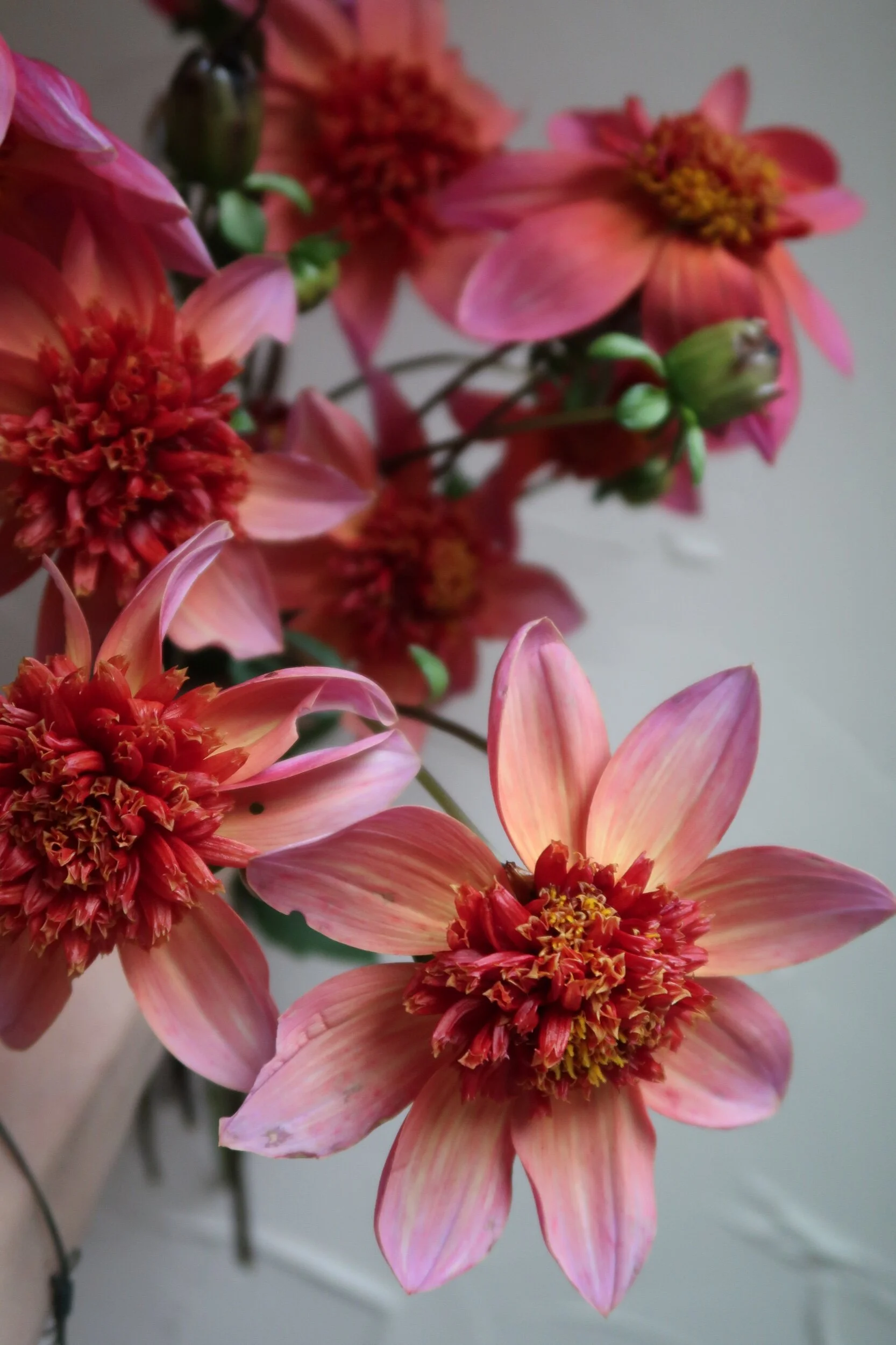 46B3478F-A6B9-4E58-82D9-6659FE1F551B