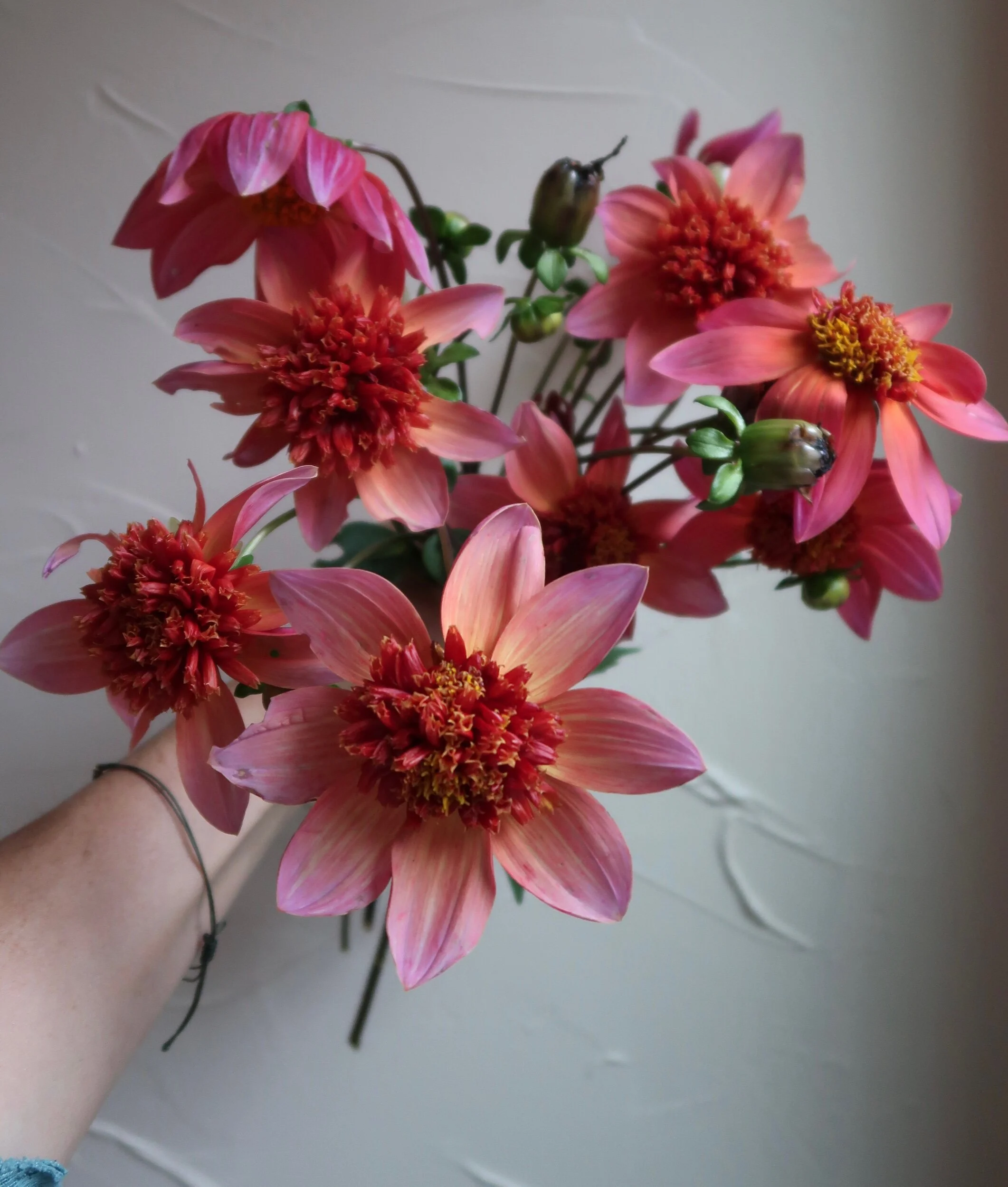 17A47BAB-2A7D-4F26-B431-D3048A5CEFAC