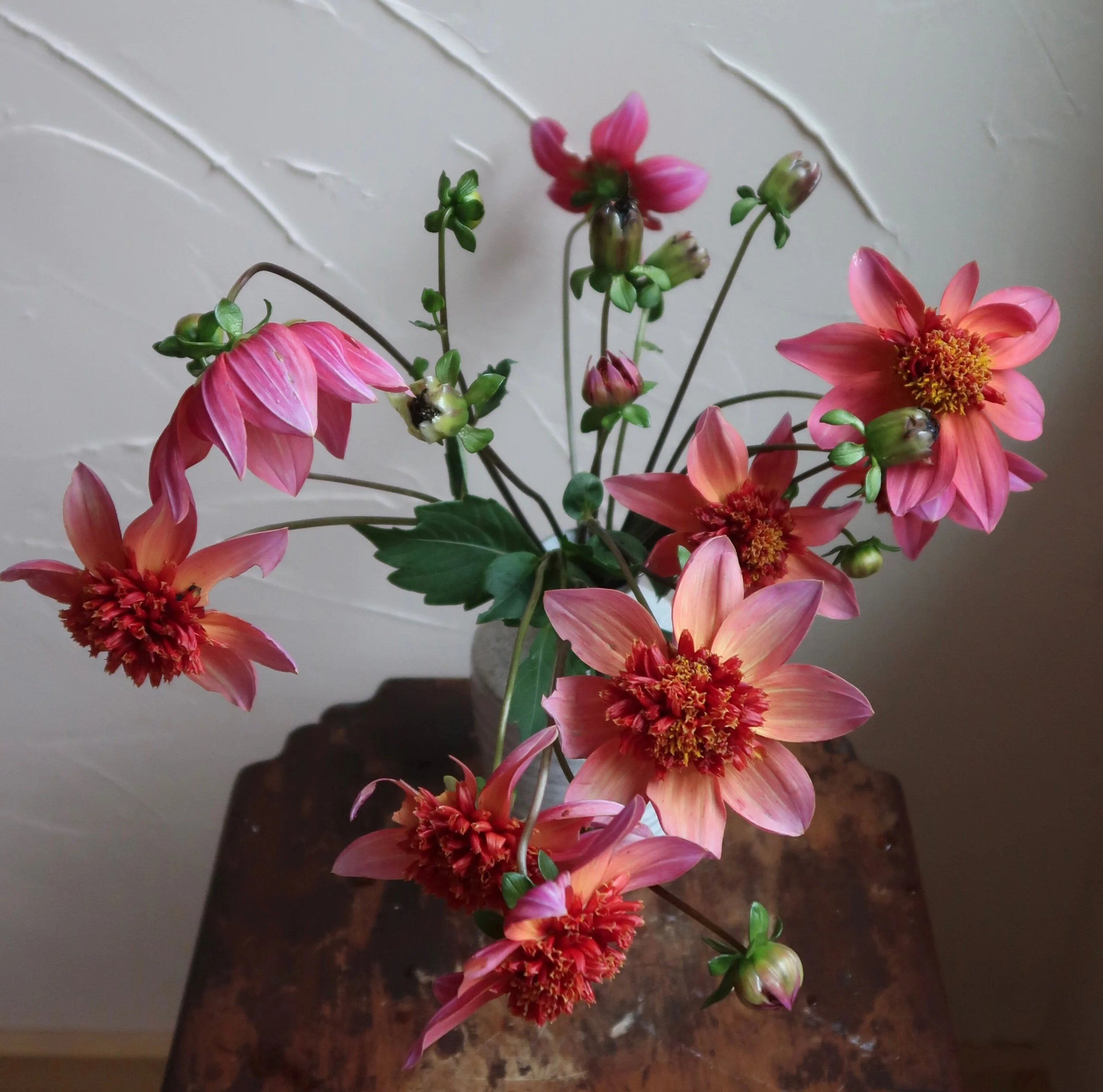 E6F44805-FD41-46B0-9841-C2547BDA11F2