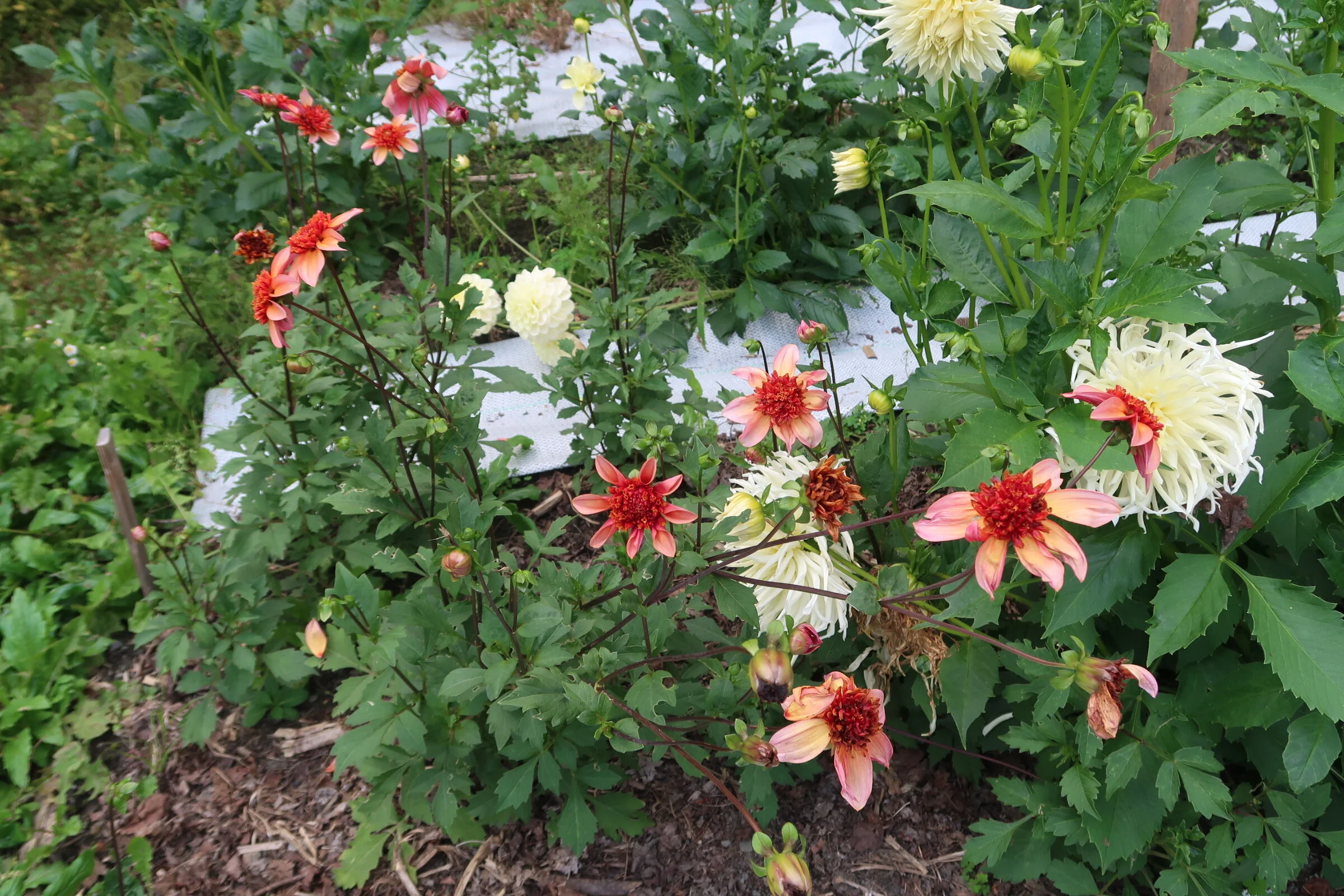 EA8659F2-D6BF-4825-9207-64FD54145D6F