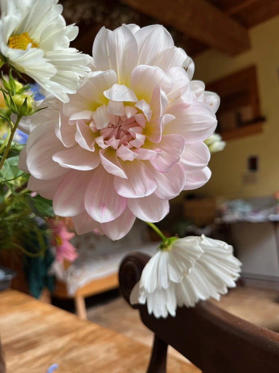 Kelgai Ann IMG_7652.jpeg