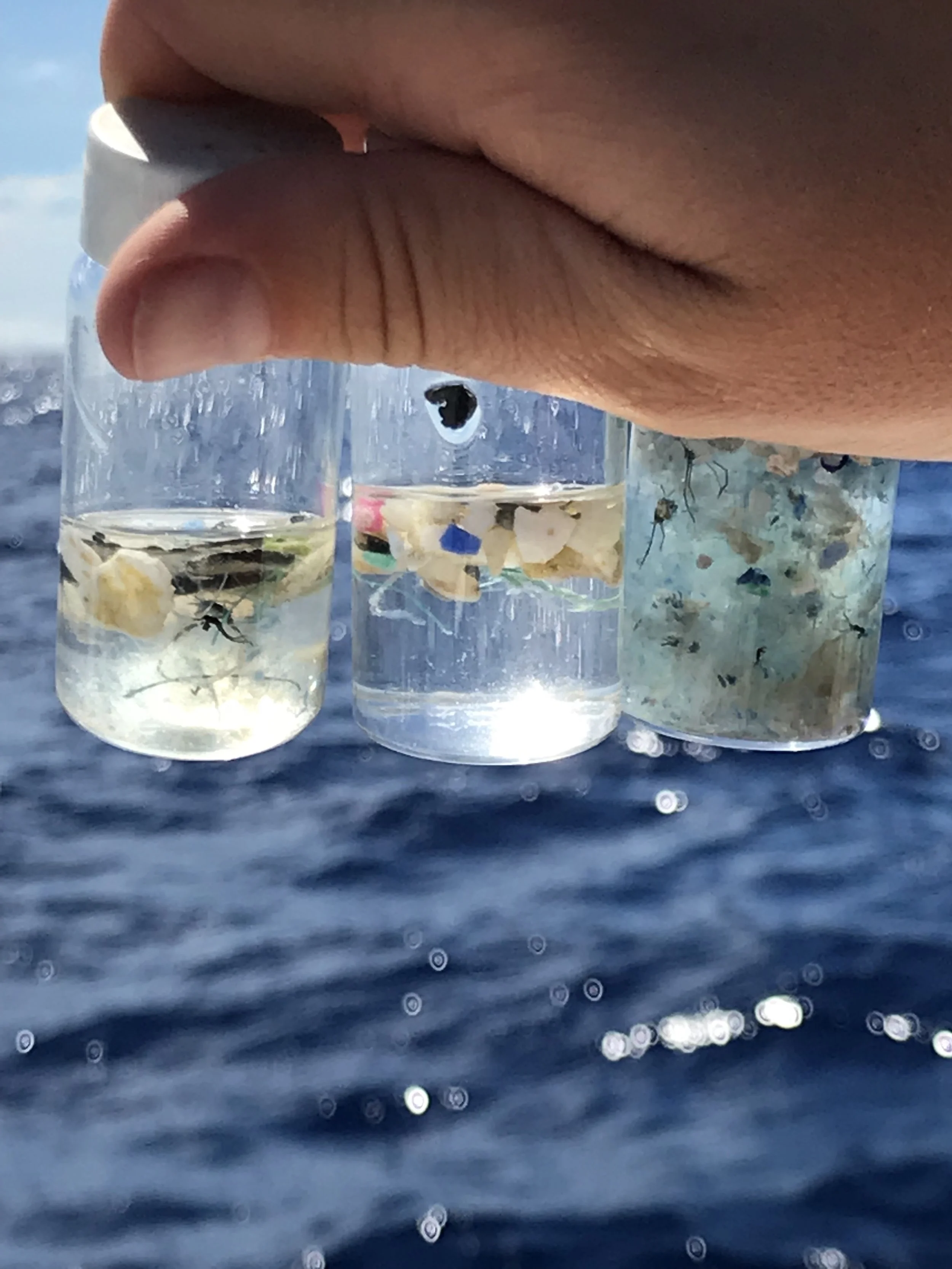 samples from a very small slice of the ocean