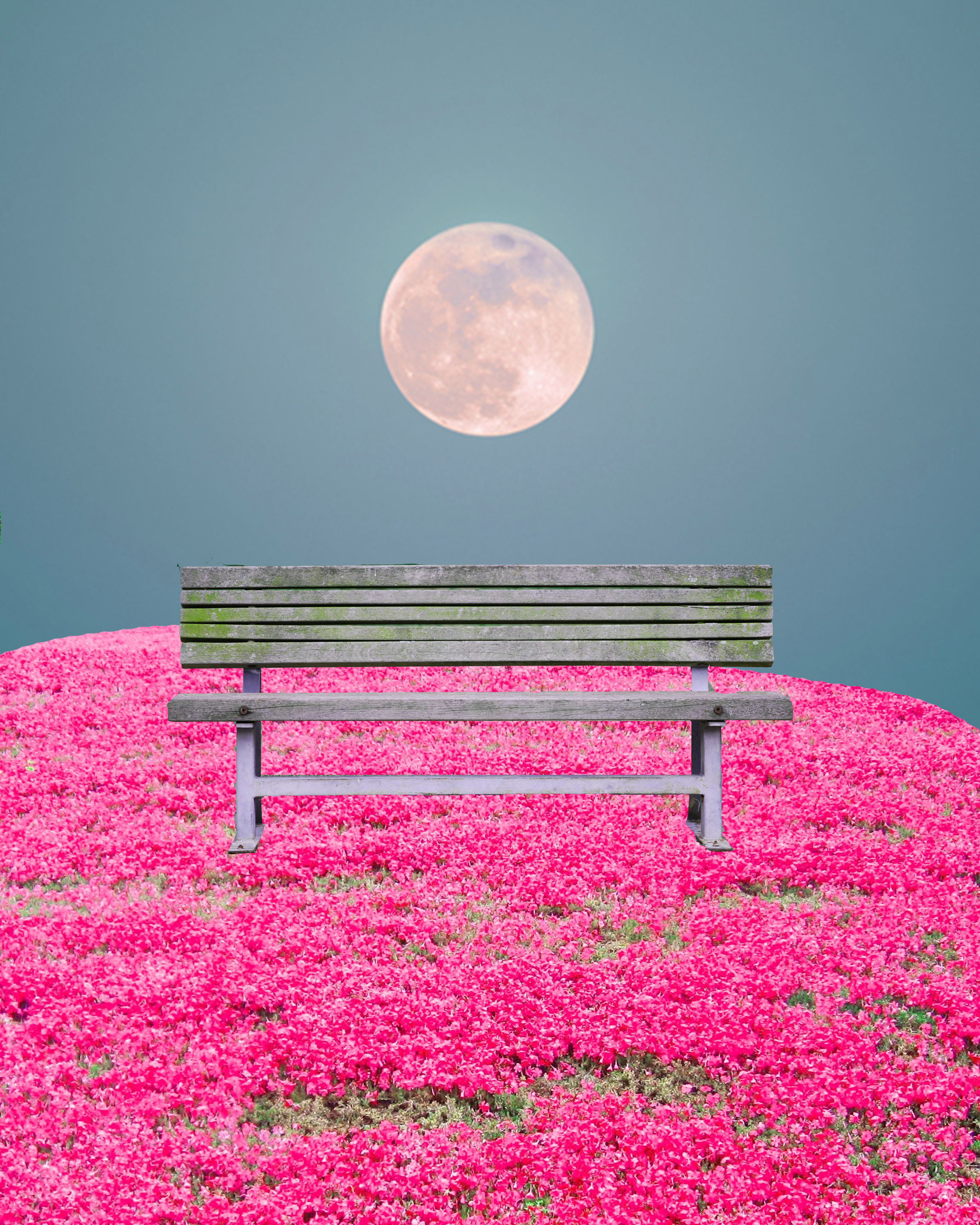 FIELD OF DREAMS.png